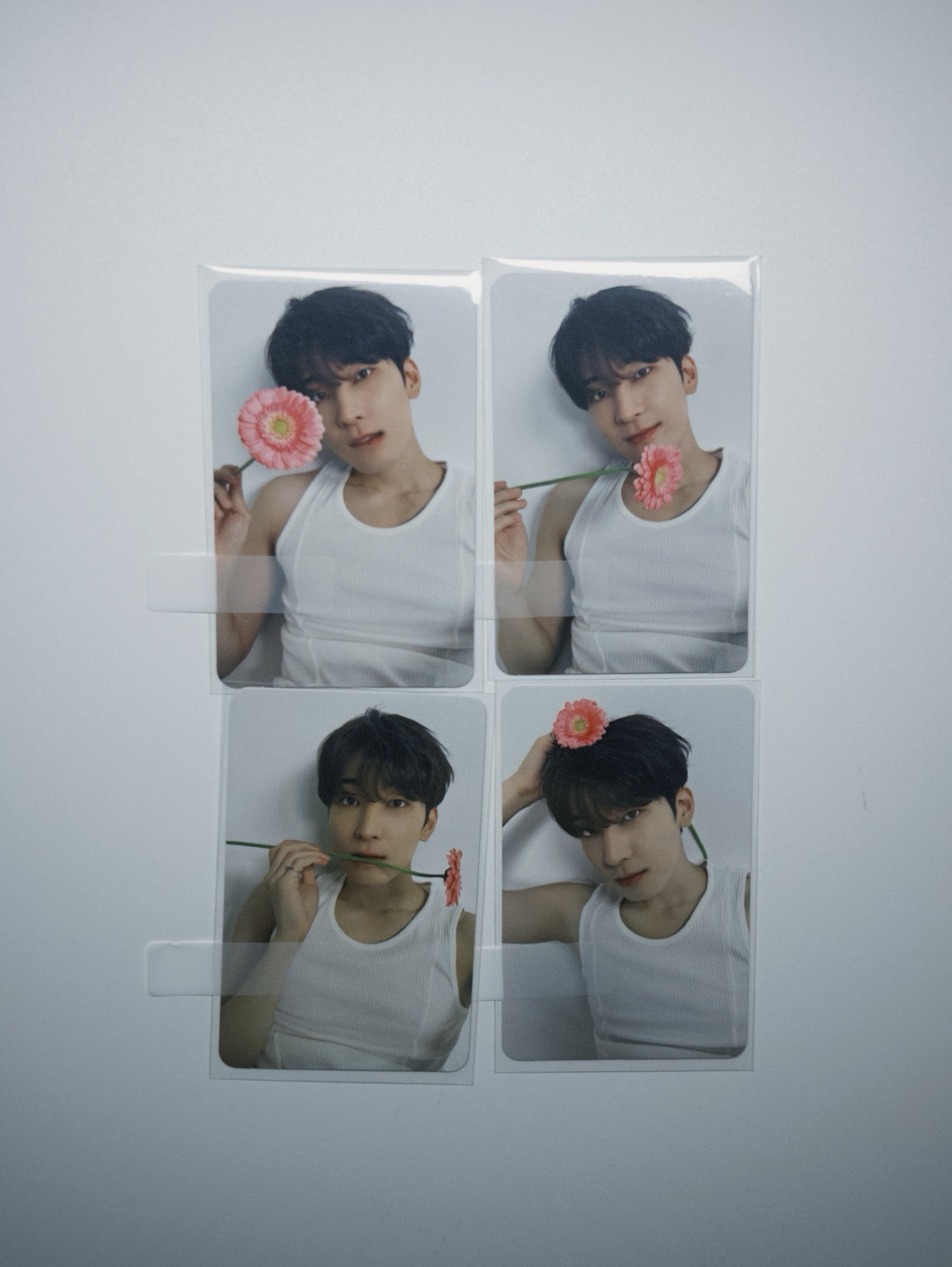 親愛盤（圓）一鍵畢業