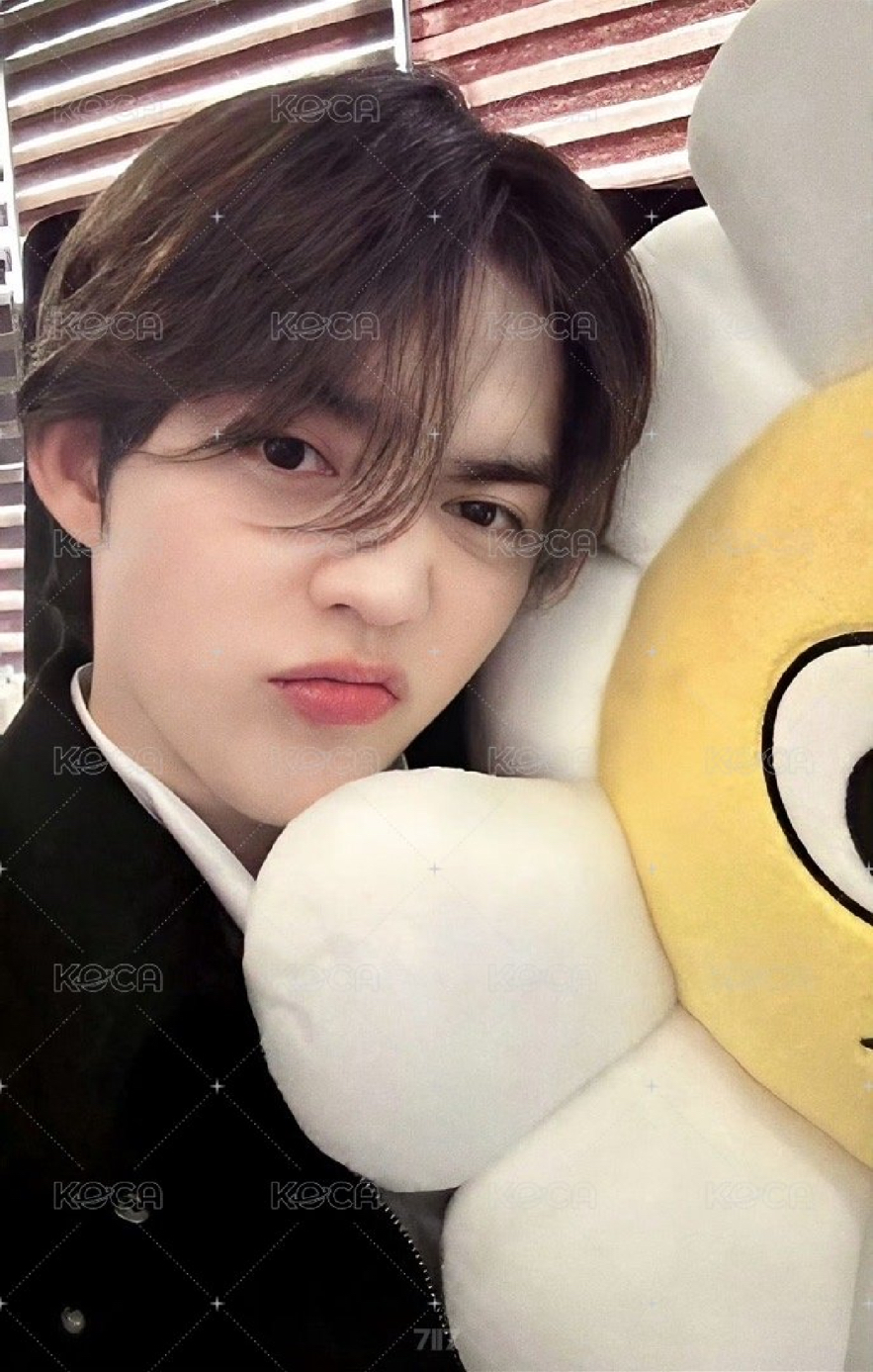 迷11 仁川場限 直出不綁