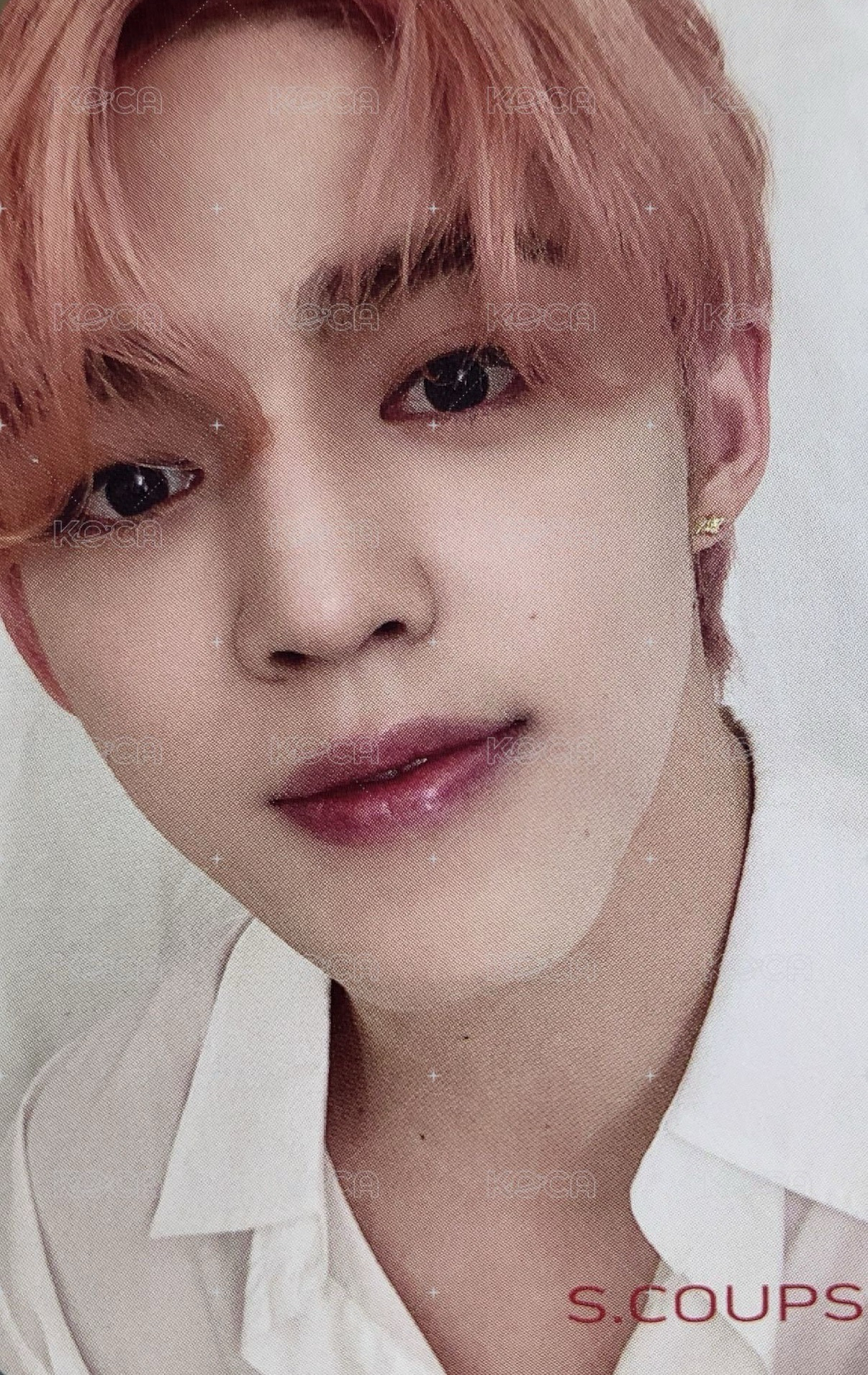 24H hmv 粉髮哲 特典卡 直出不綁