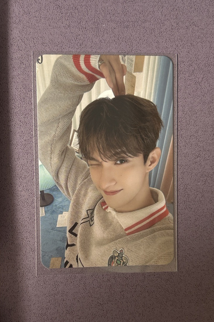 碩 24’克拉島 演唱會 DVD / CD 卡 DOOR ver.