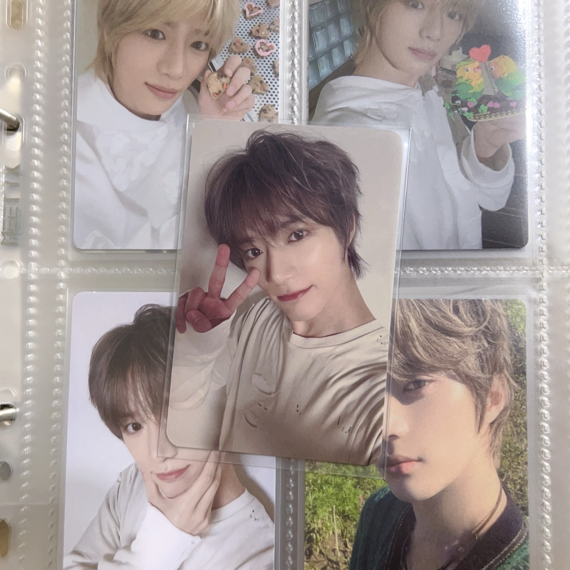 迷七 數星星 中背 圭