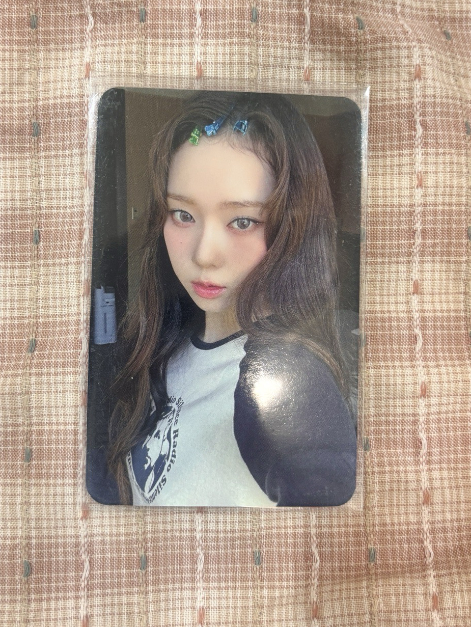 MY WORLD sr 特典卡 星河冬 勇敢狗狗 不怕困難 中背