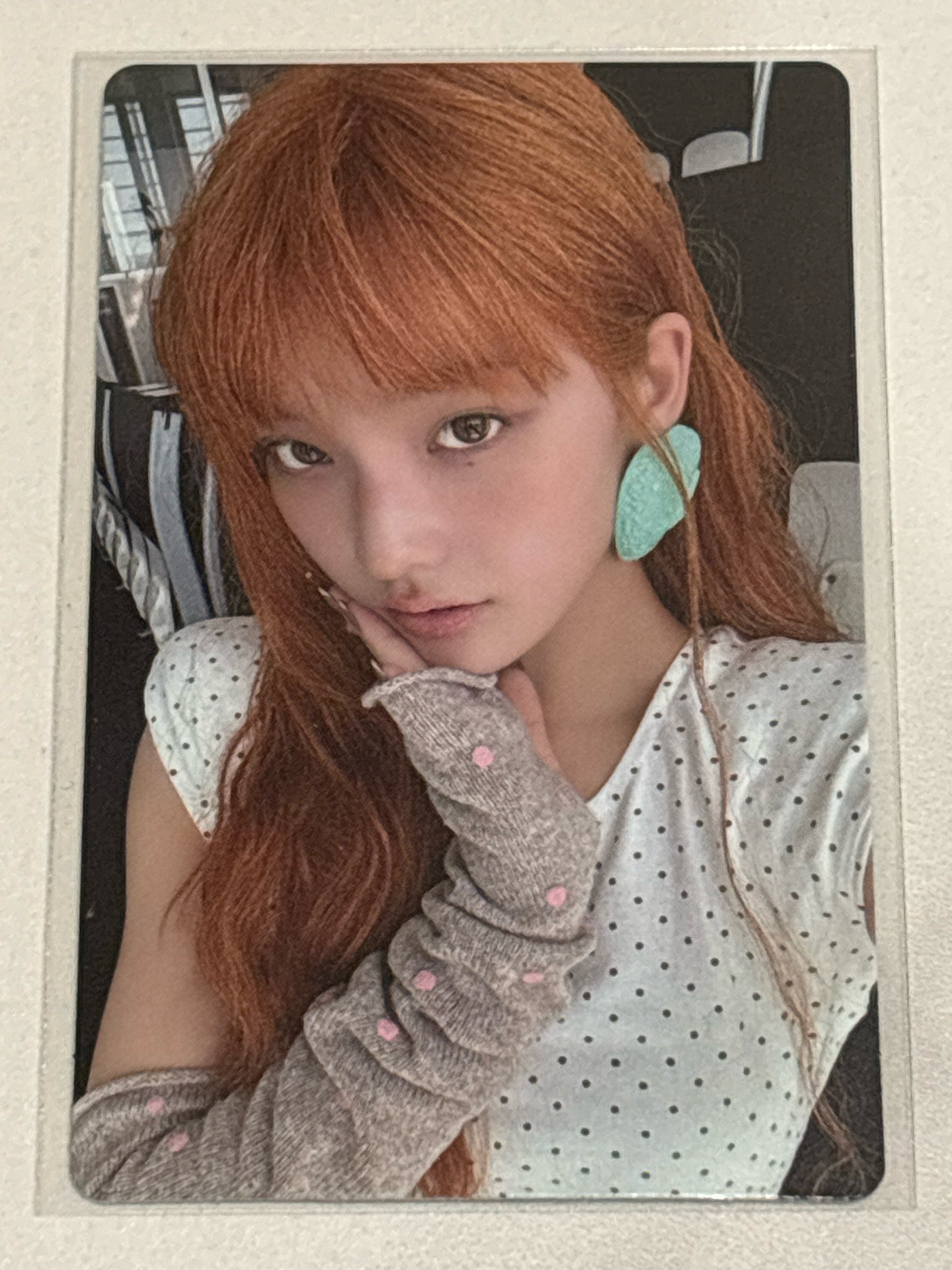 NOT CUTE ANYMORE wvs 預售 特典卡