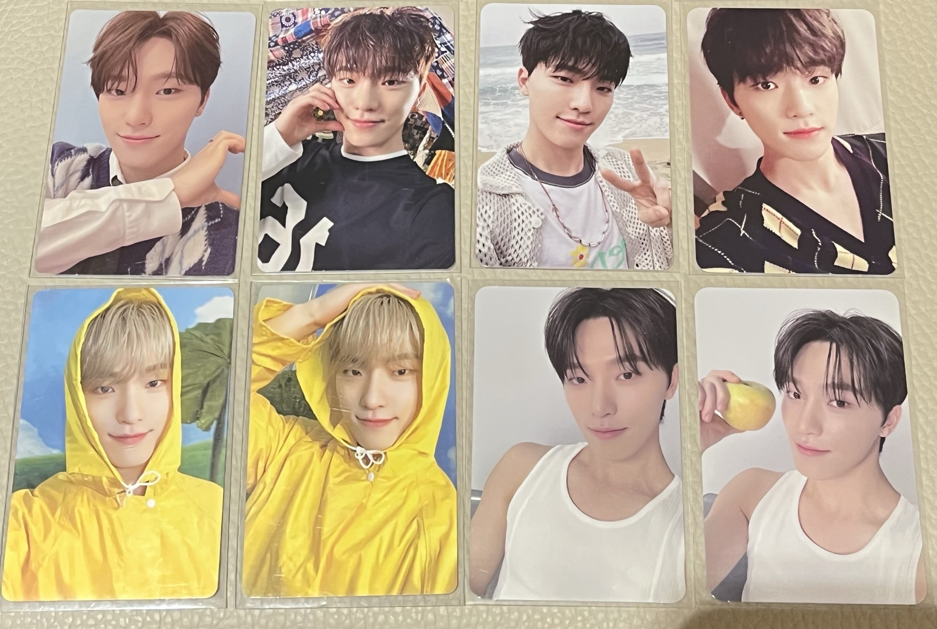 🩷SEVENTEEN DINO 燦卡