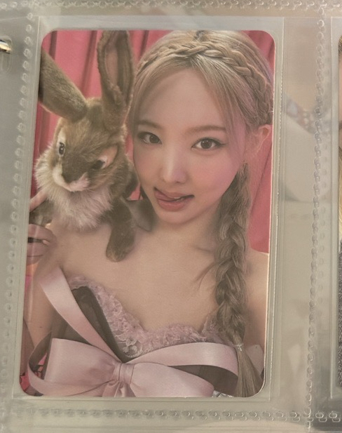 兔子璉 很好看的一張卡 兩隻兔子