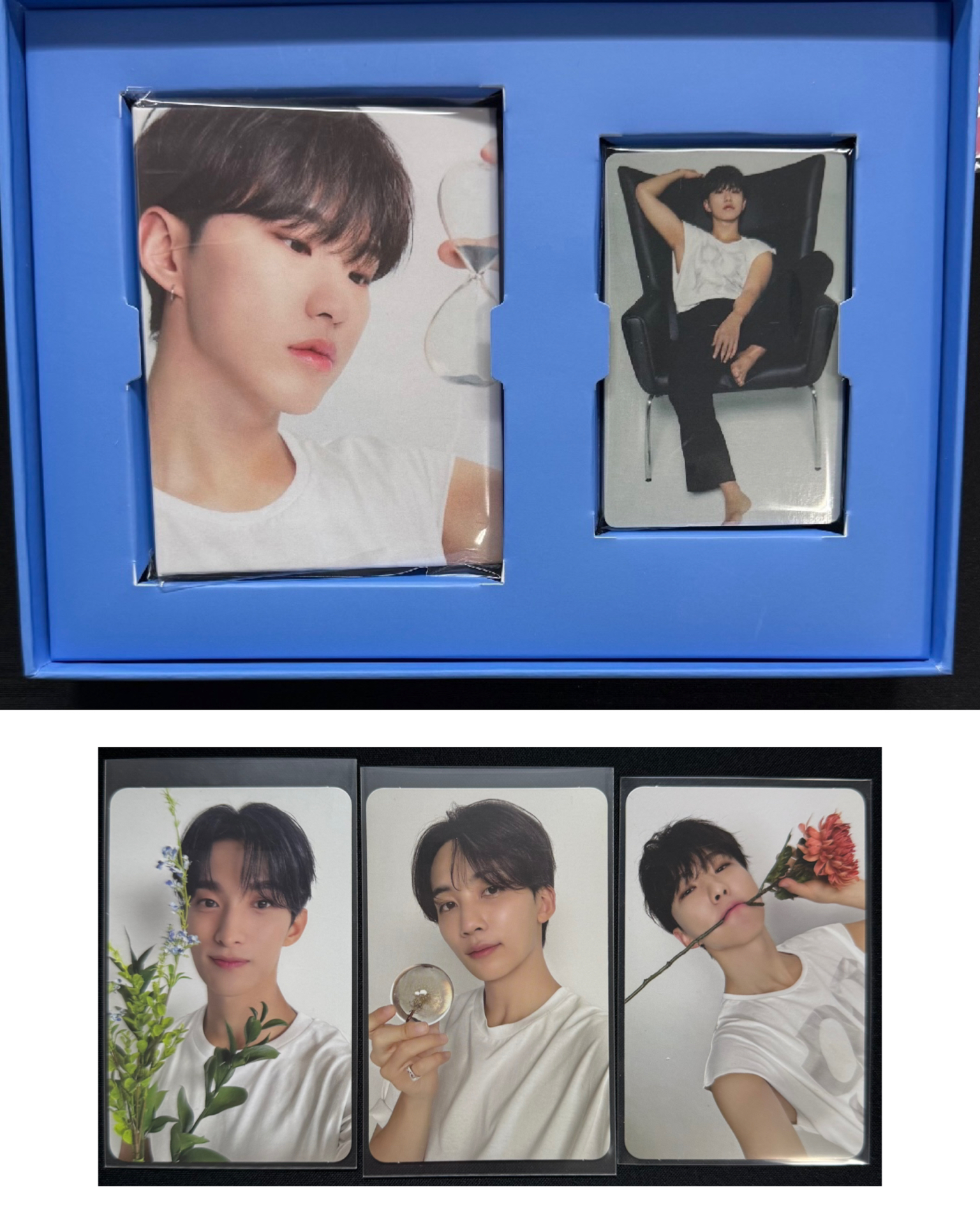 精選專克拉盤 Hoshi封