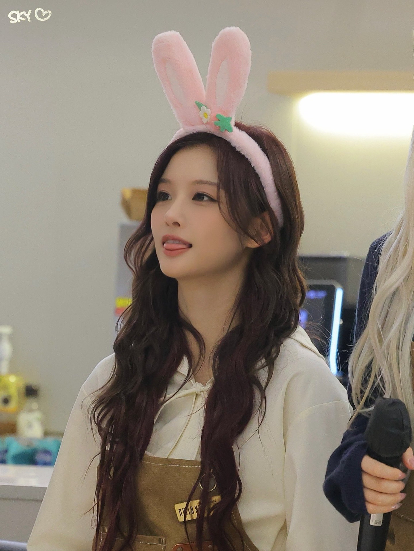 咖啡廳 兔子薛 兔子卡背