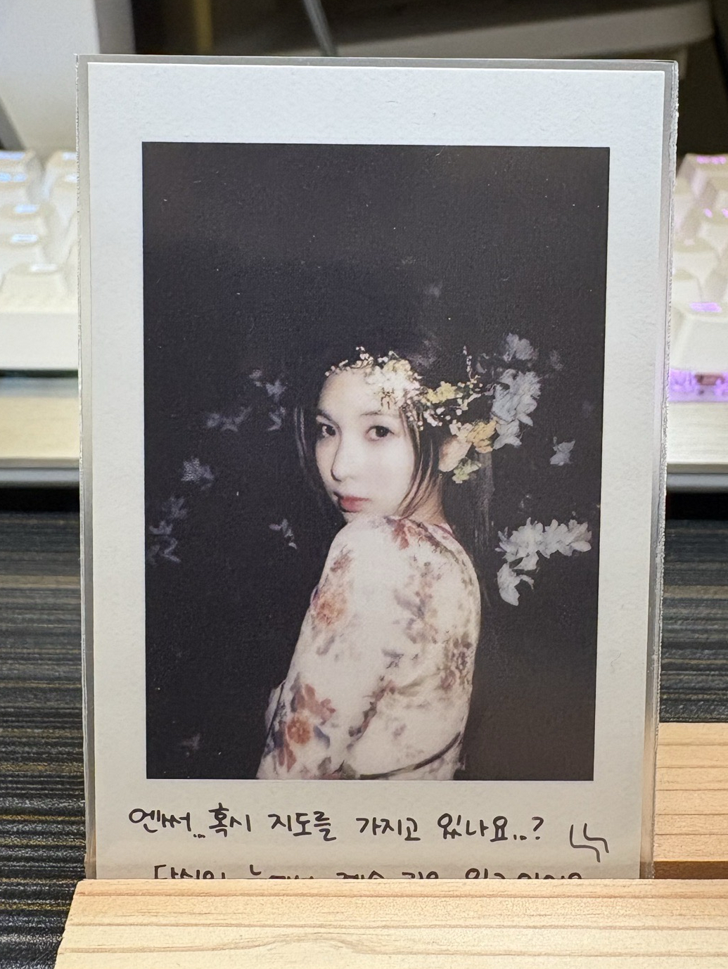 🍁仲夏夜 專輯卡 普版 Forest 拍立得（裴）