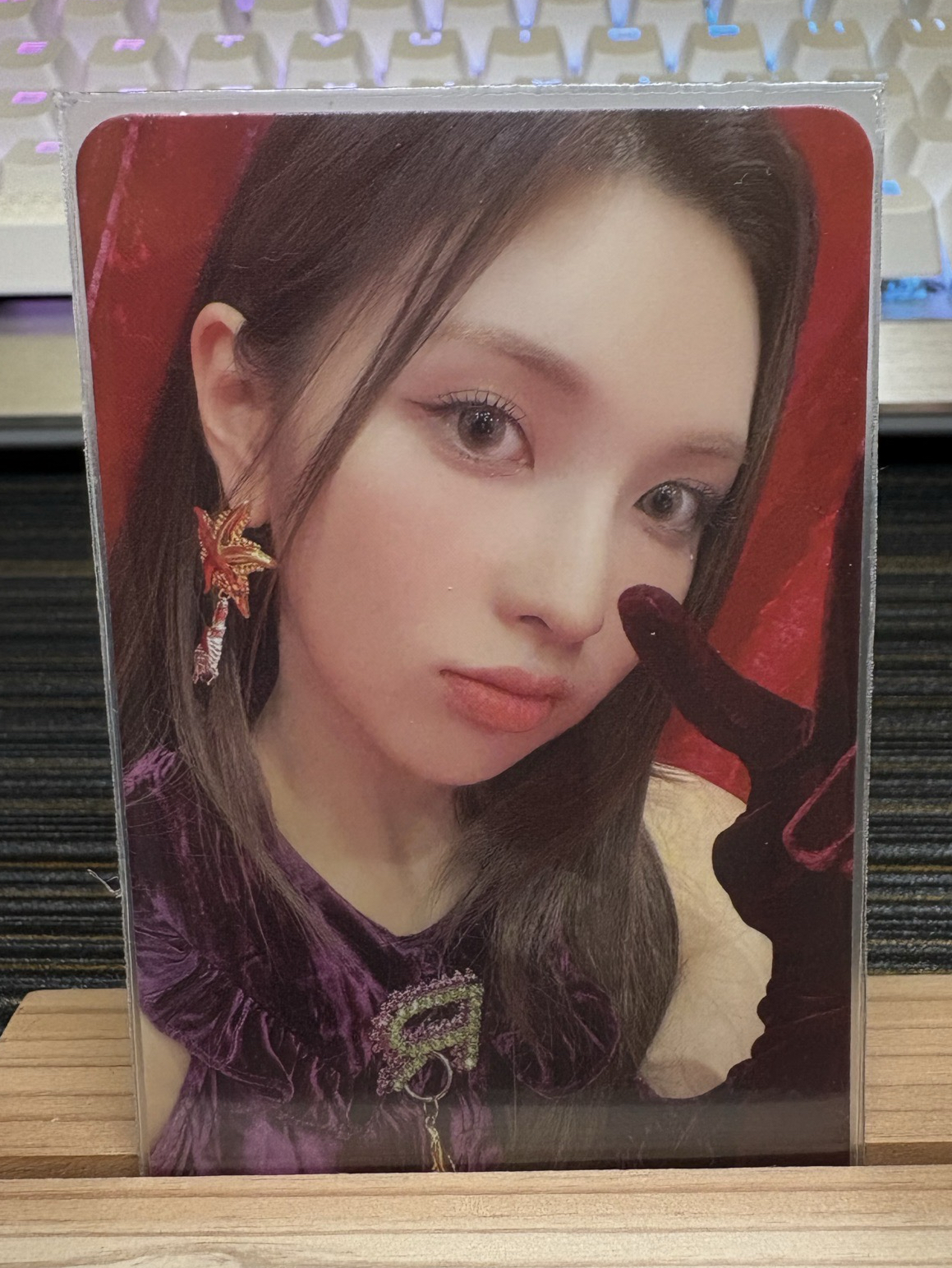 🍁ENTWURF tou 預售 特典卡 （裴）