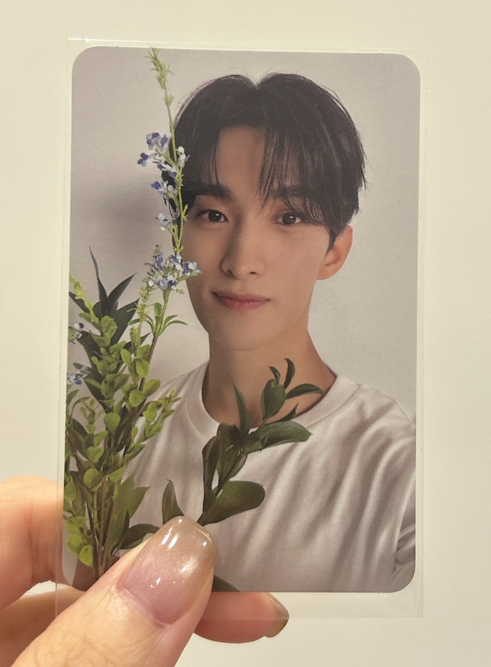 💚7)精選專 Carat ver.隨機卡