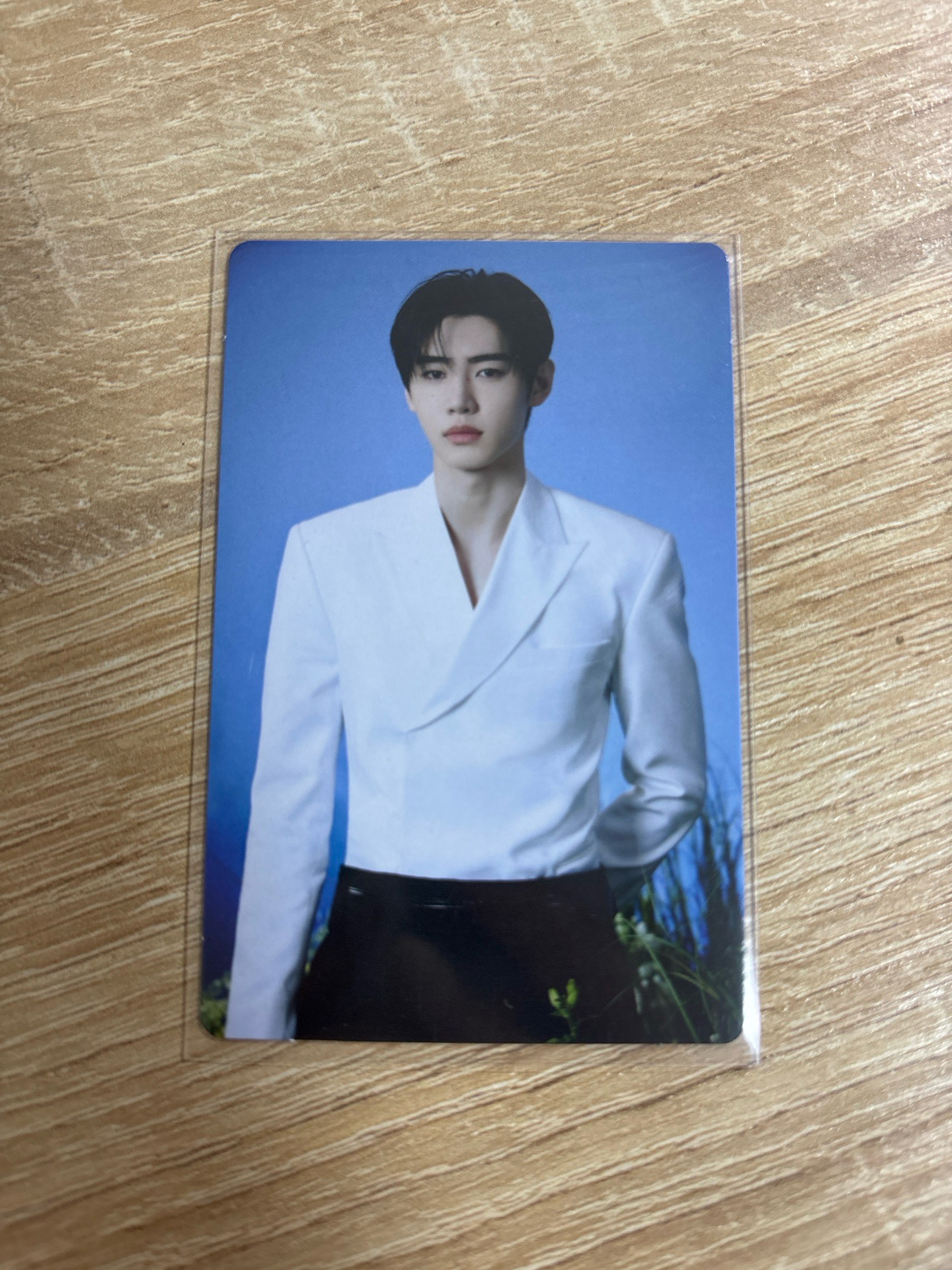 WTL  朴成訓卡包卡 6/8