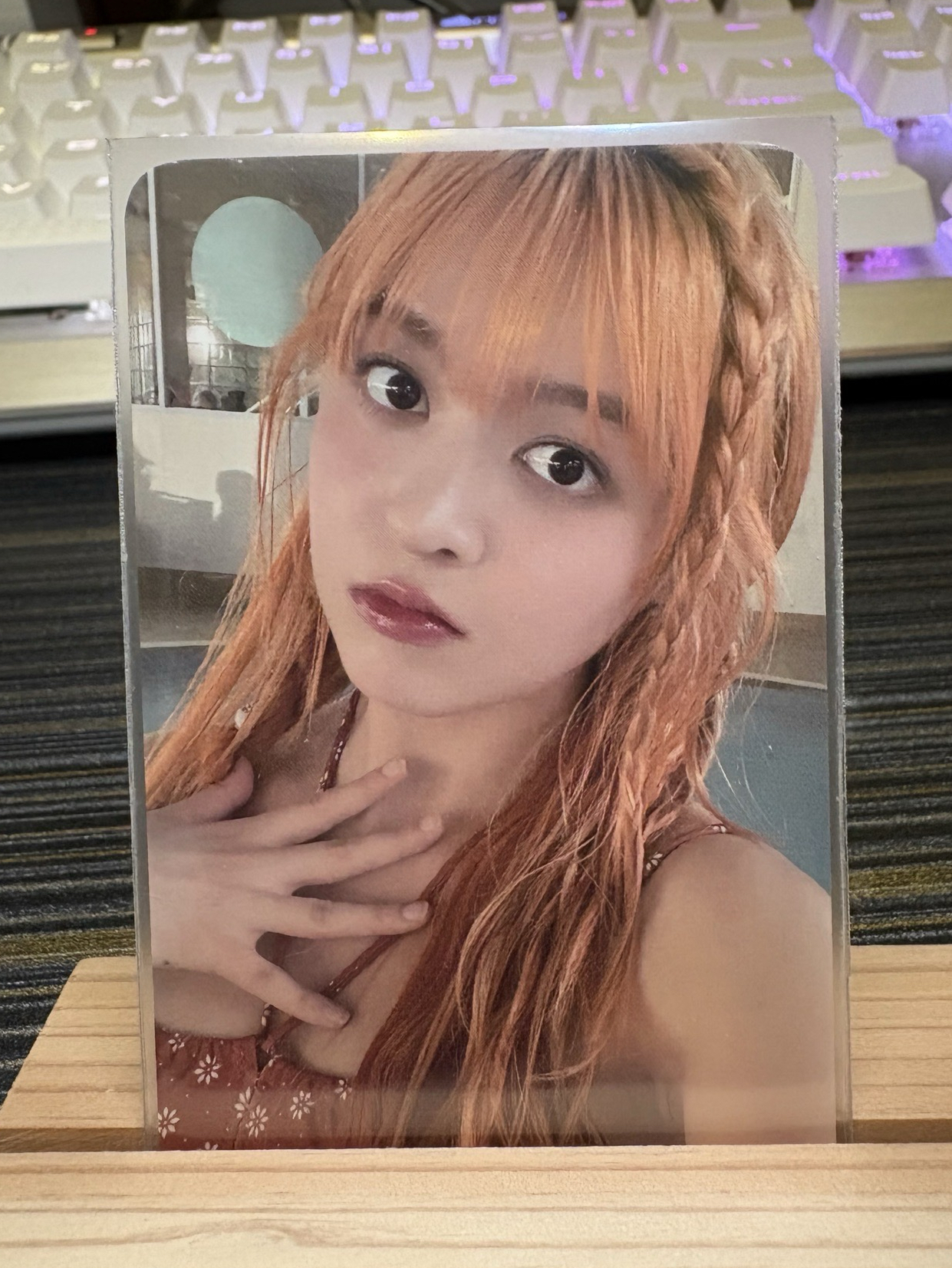 🍁仲夏夜 k4 特典卡 預售莉