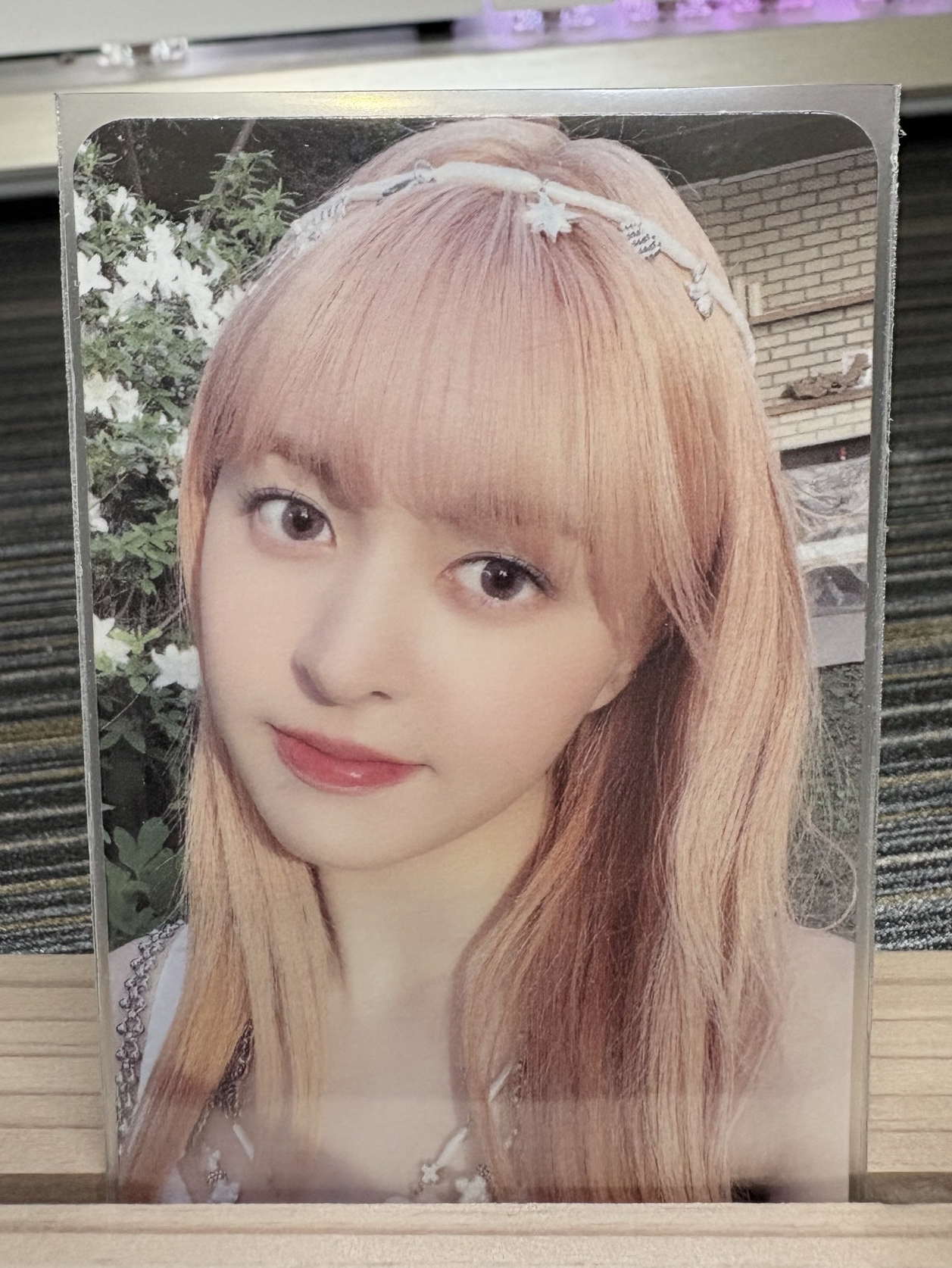 🍁仲夏夜 專輯卡 普版 Forest 專卡莉