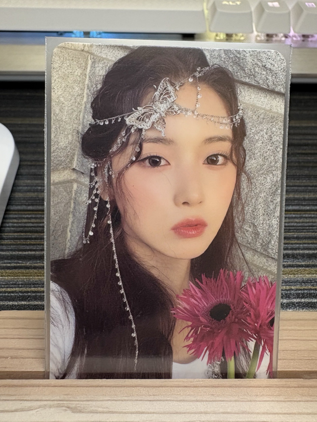 🍁仲夏夜 專輯卡 普版 Forest ver.（友）