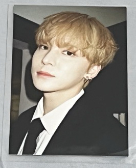 你的臉應該放在羅浮宮