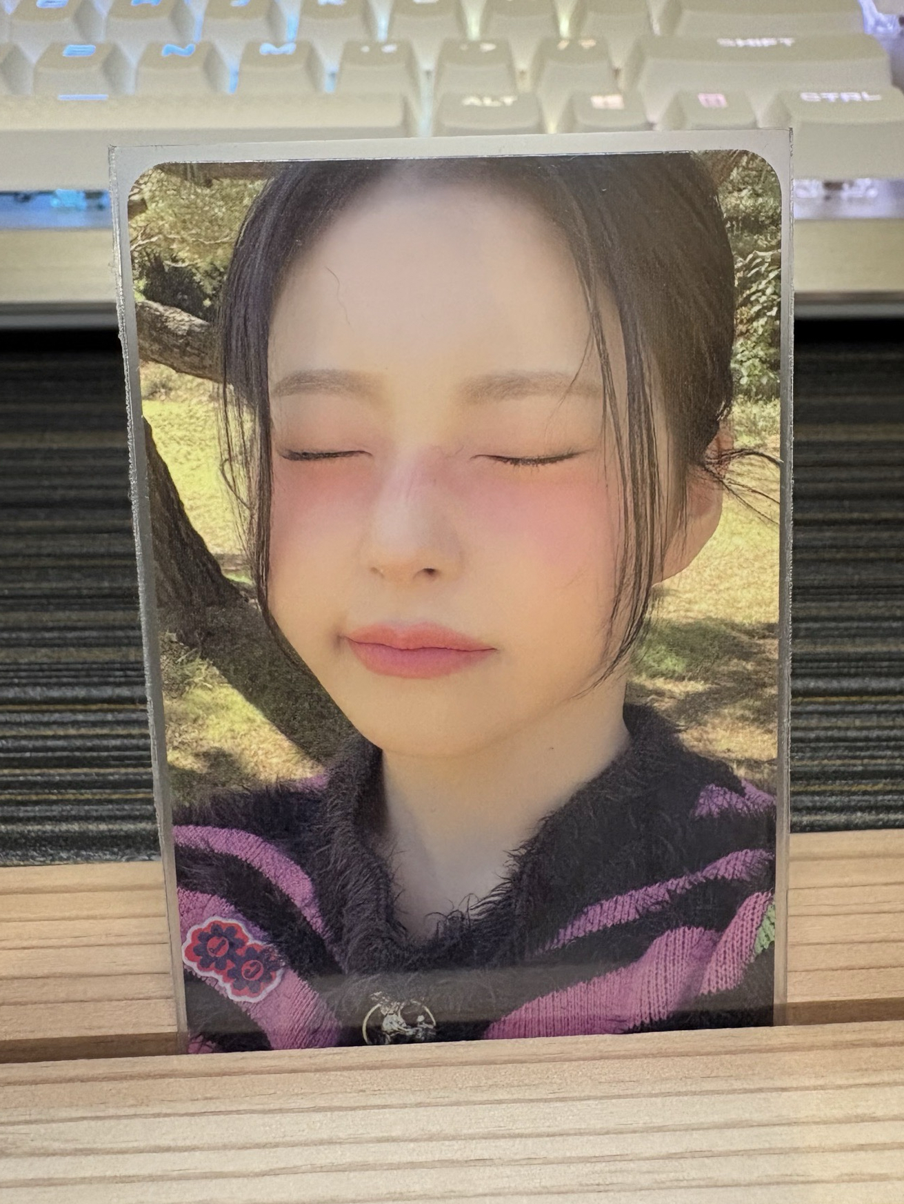 🍁expérgo 專輯卡 普版 ver. B