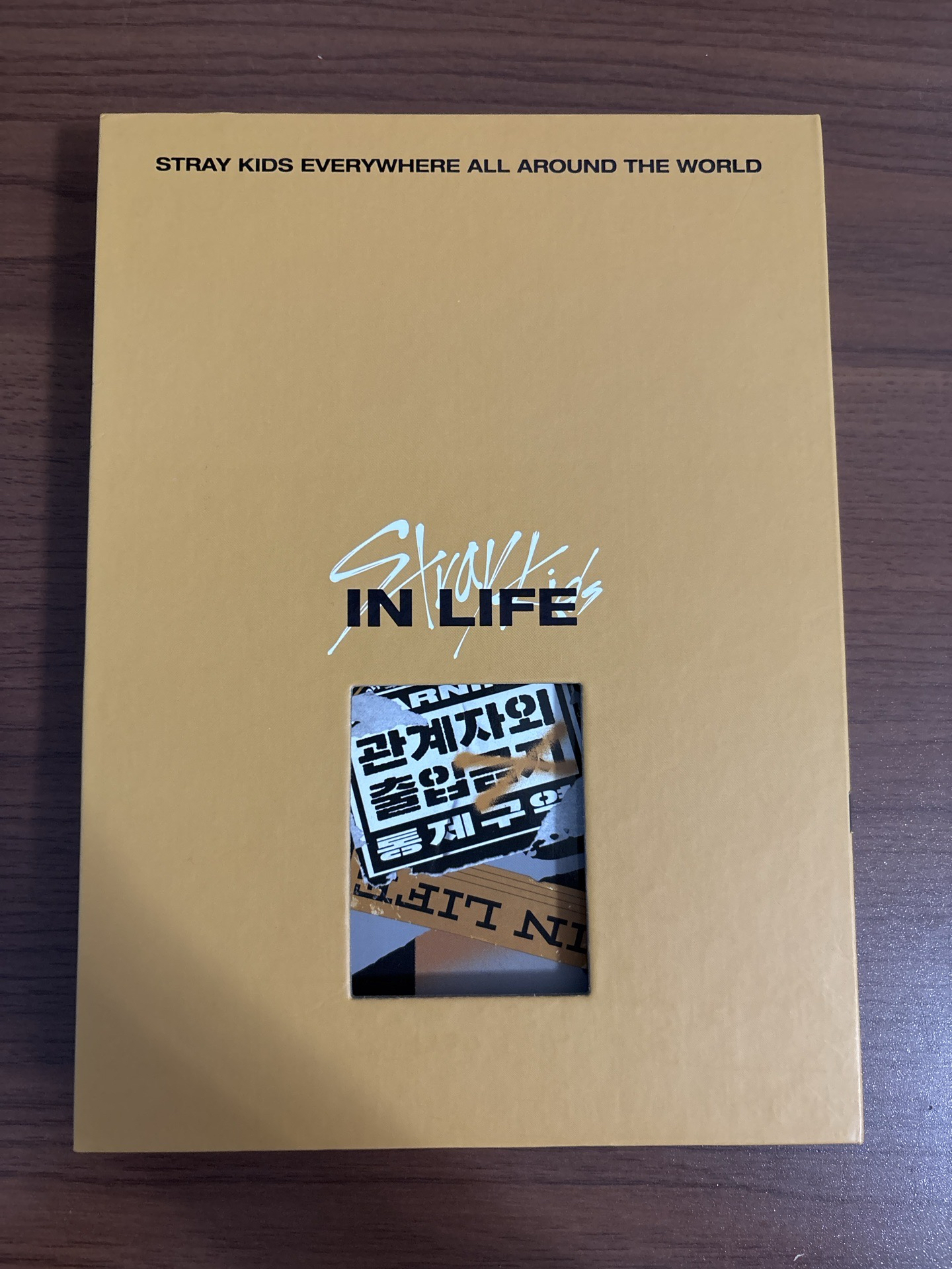 stray kidsIN LIFE專輯附小卡&明信片