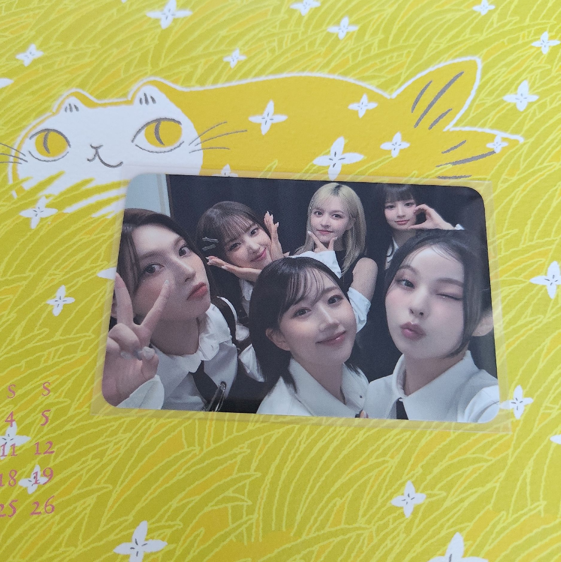 WM隨機卡團卡（可單出）