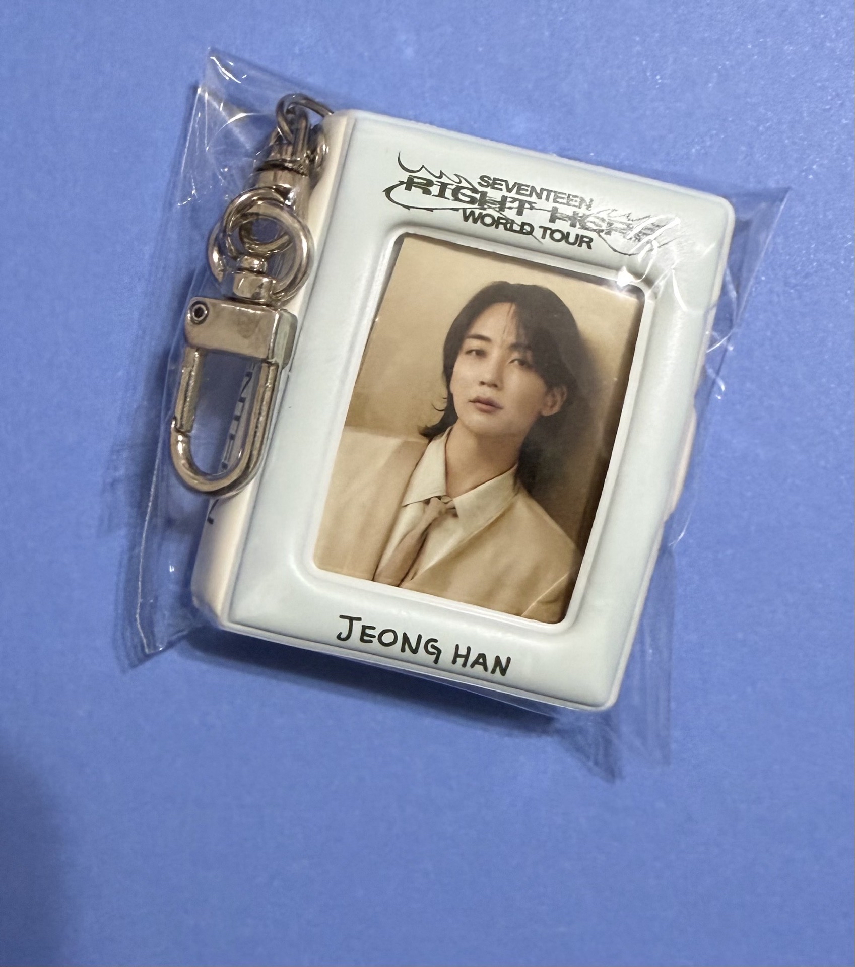 RIGHT HERE 證件照吊飾卡冊 淨漢🐰