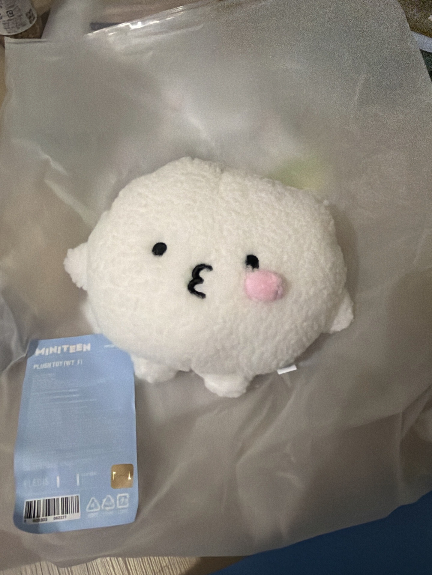 SEVENTEEN MINITEEN 娃娃玩偶 ｜PPYOPULI站姿