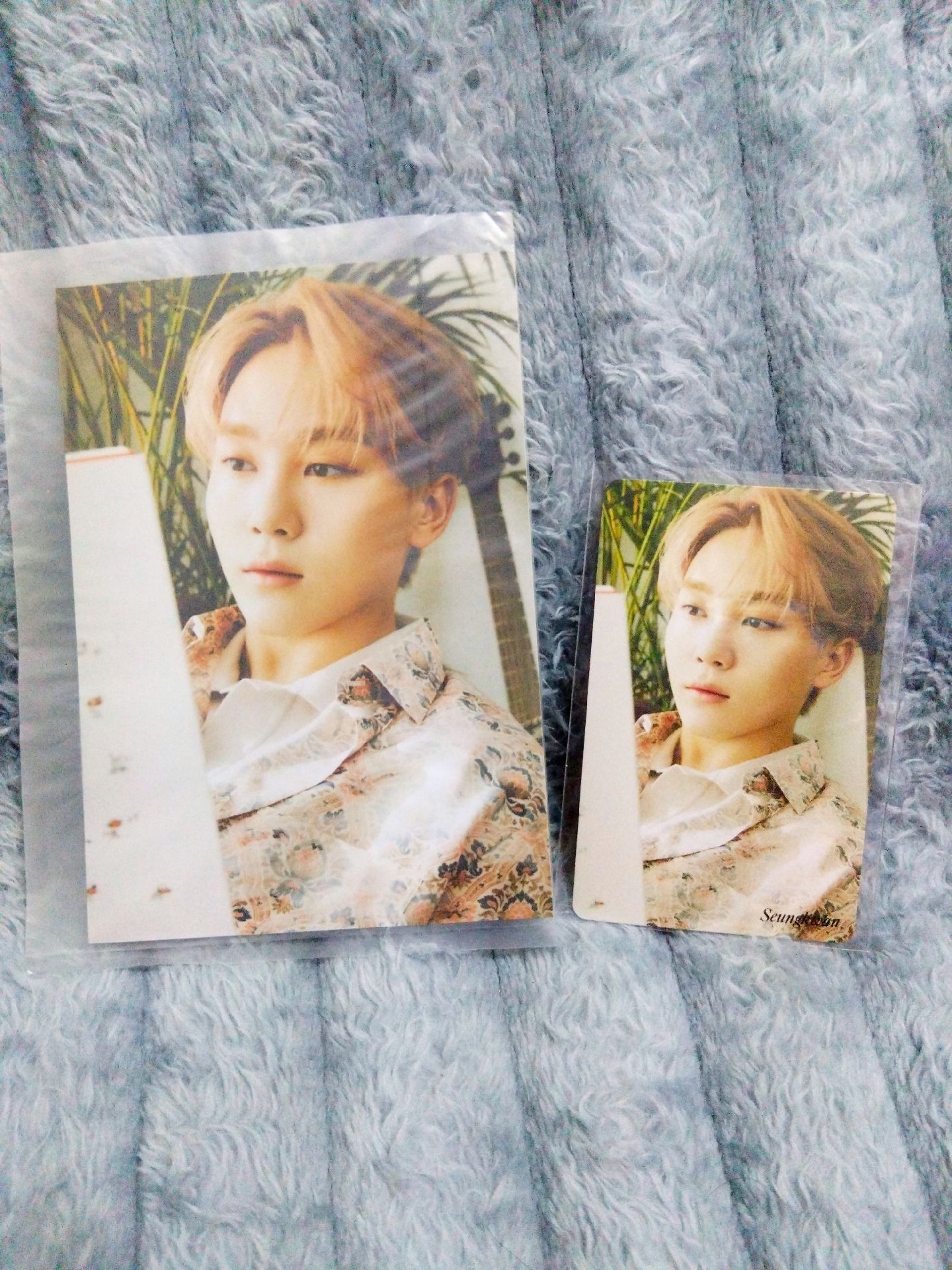 迷八 HMV特典寛 + 生寫 套出不拆 