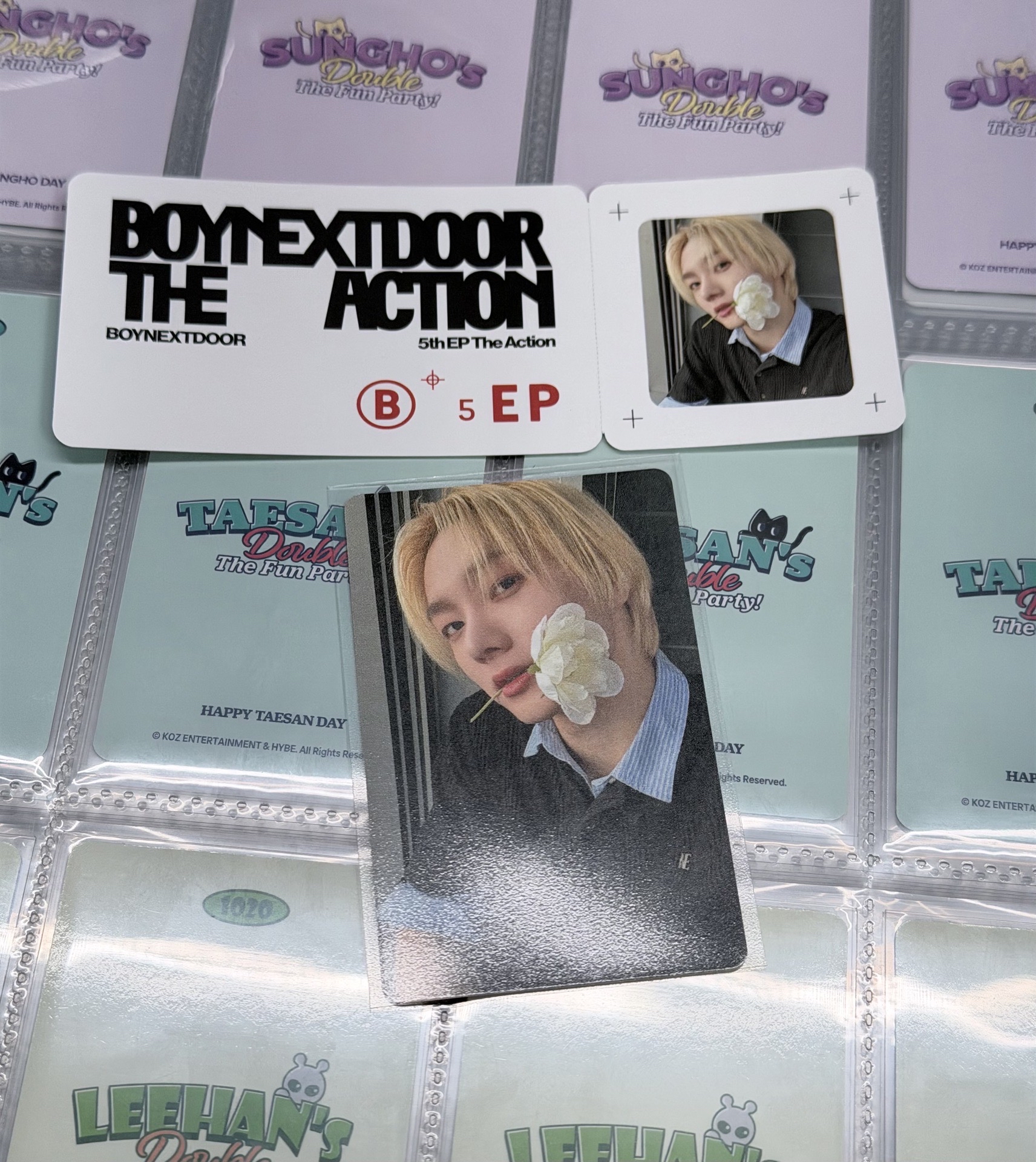 The Action wvs特典