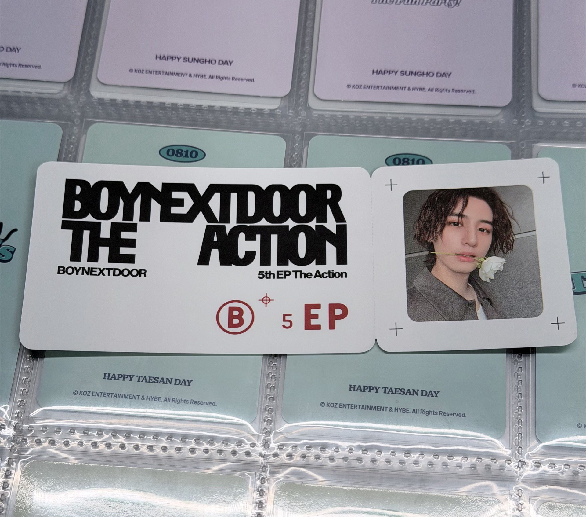 The Action wvs特典