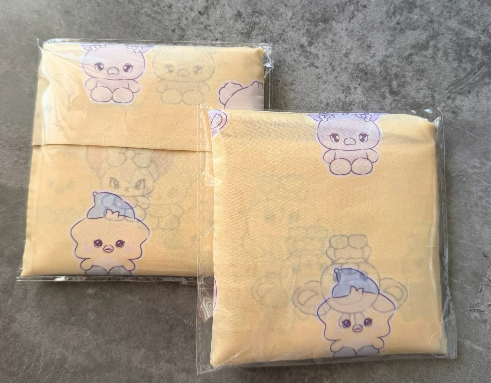 世巡韓場11/30 day2入場卡一套+購物袋1個