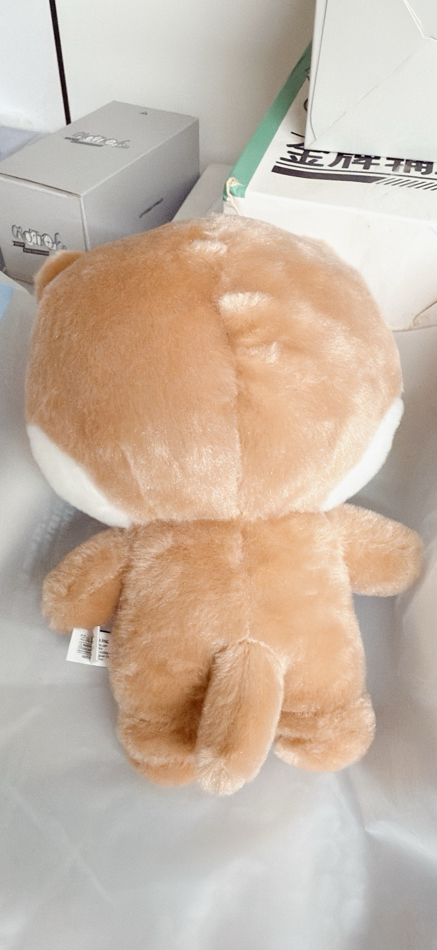 MINI TEEN DINO大娃