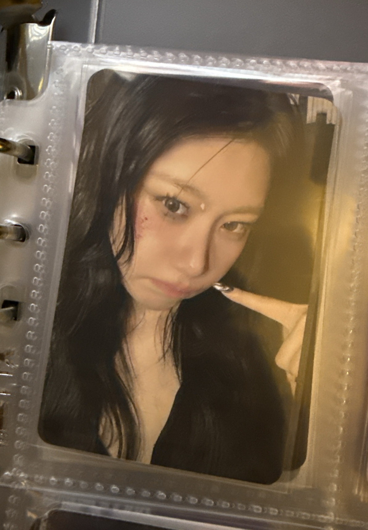 TNVS am 預售 特典卡 