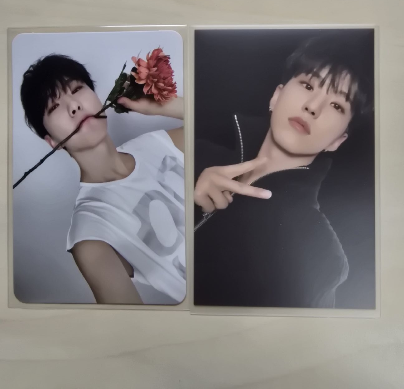 hoshi 克拉盤 外套卡