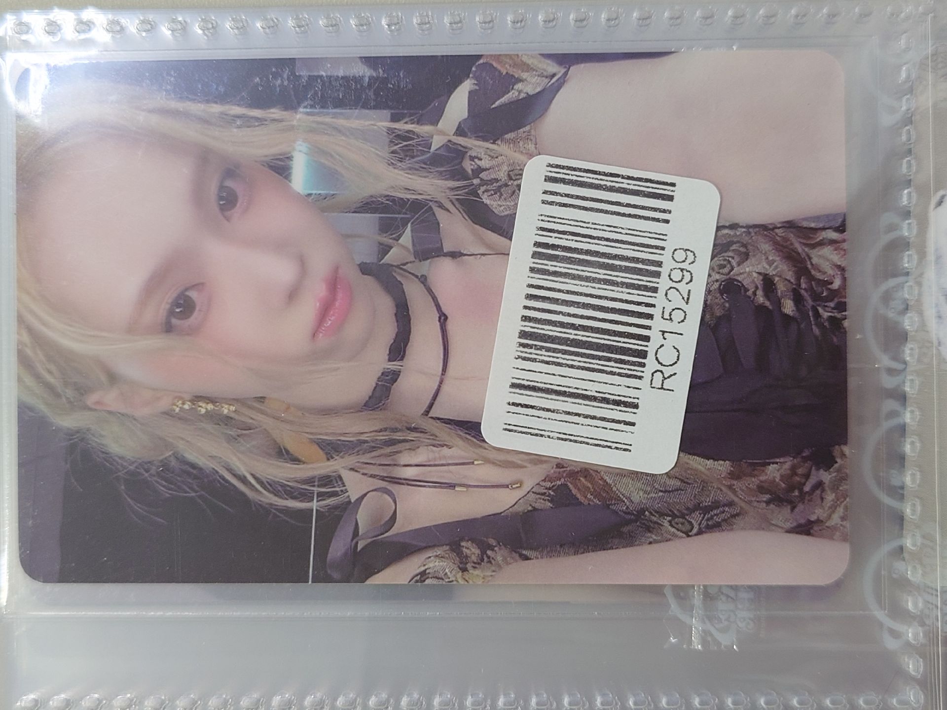 whiplash kms預售冬