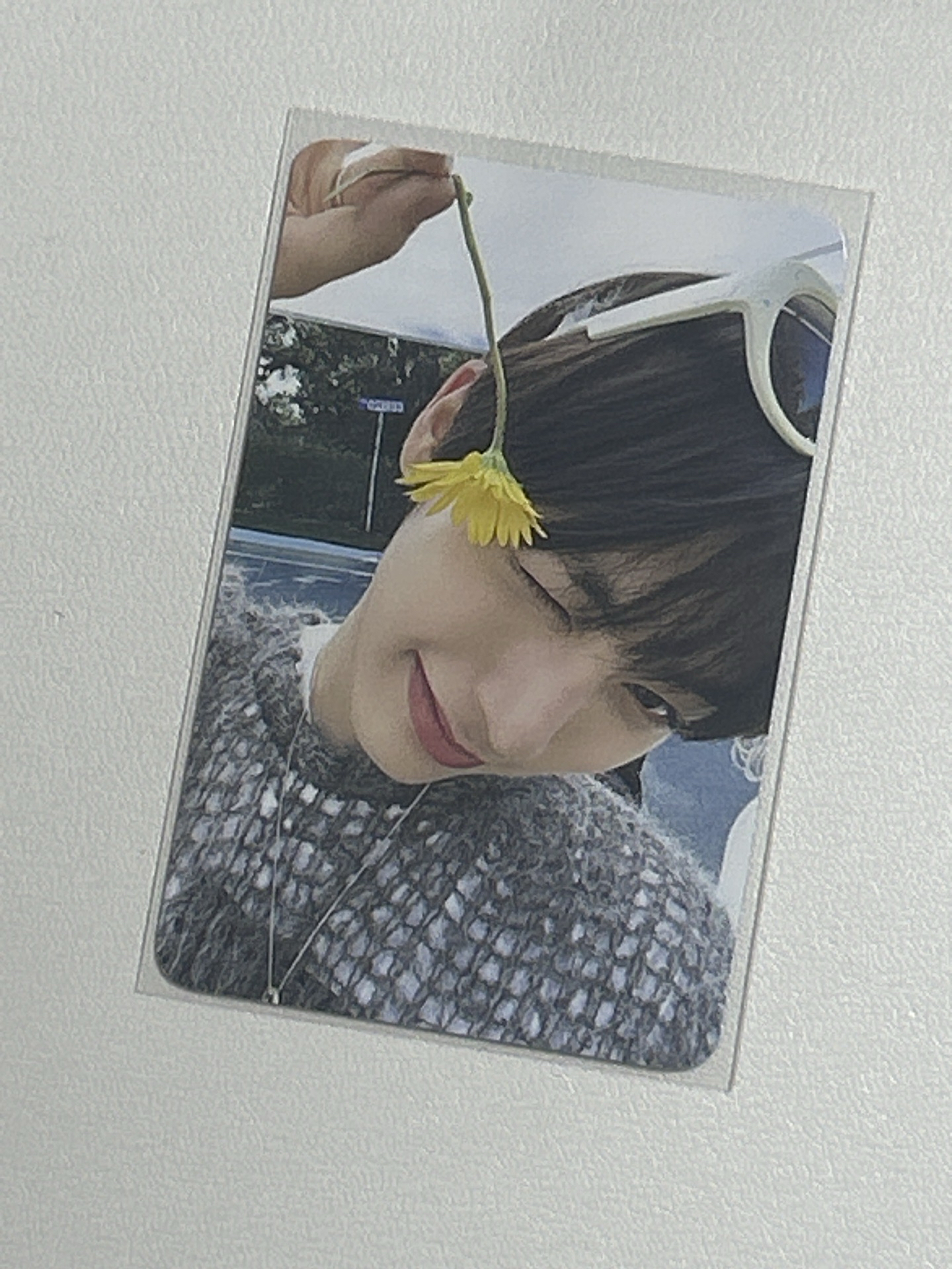 🌼｜小黃花 TAESAN’ 直出