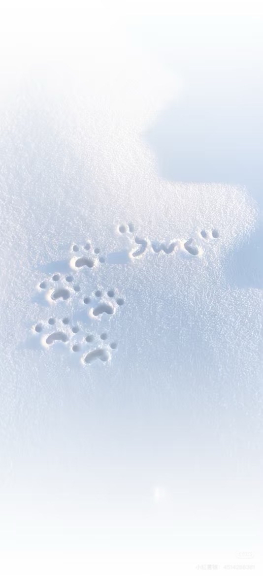 全收請私訊聊聊🌱已被拍走就是沒了