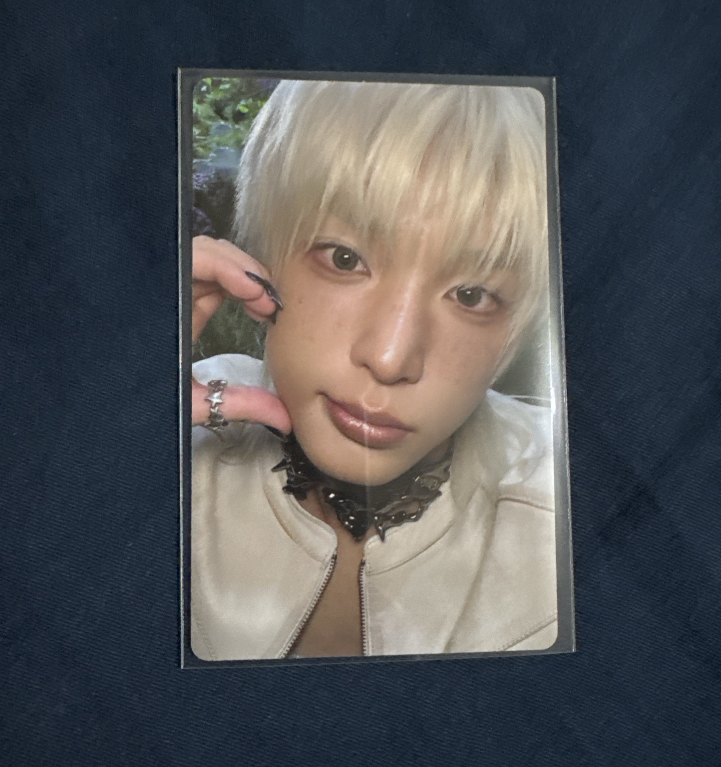 BTL wvs GL預售 特典卡 ROAR ver. Harua