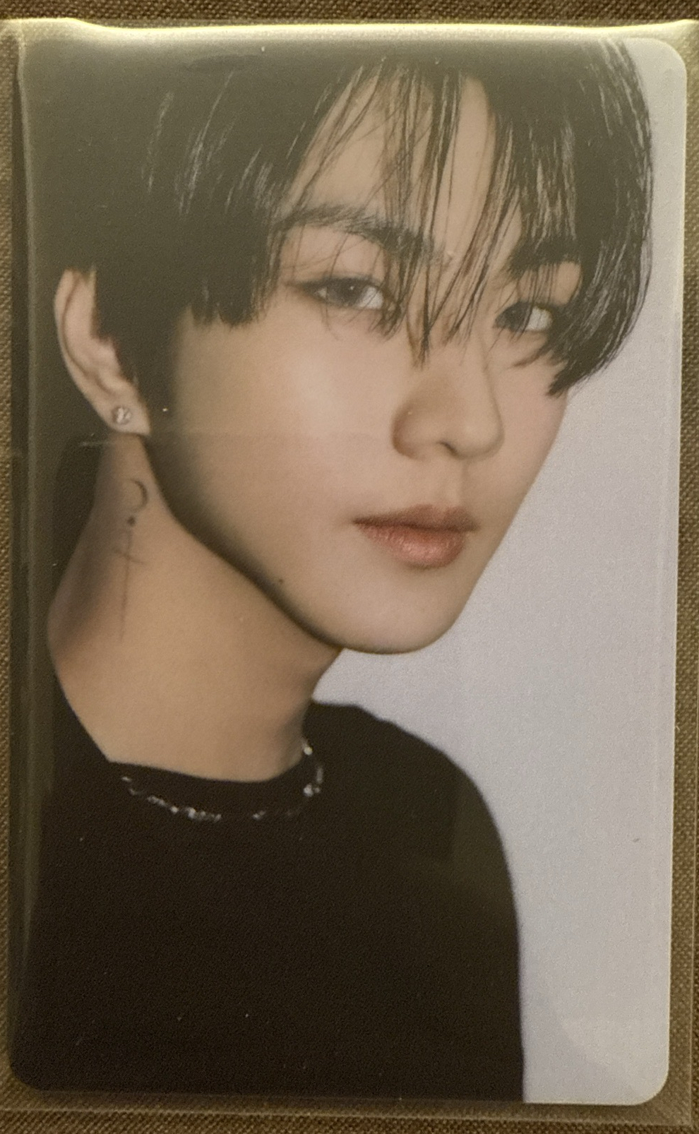 ENHYPEN 梁禎元 양정원 展覽卡