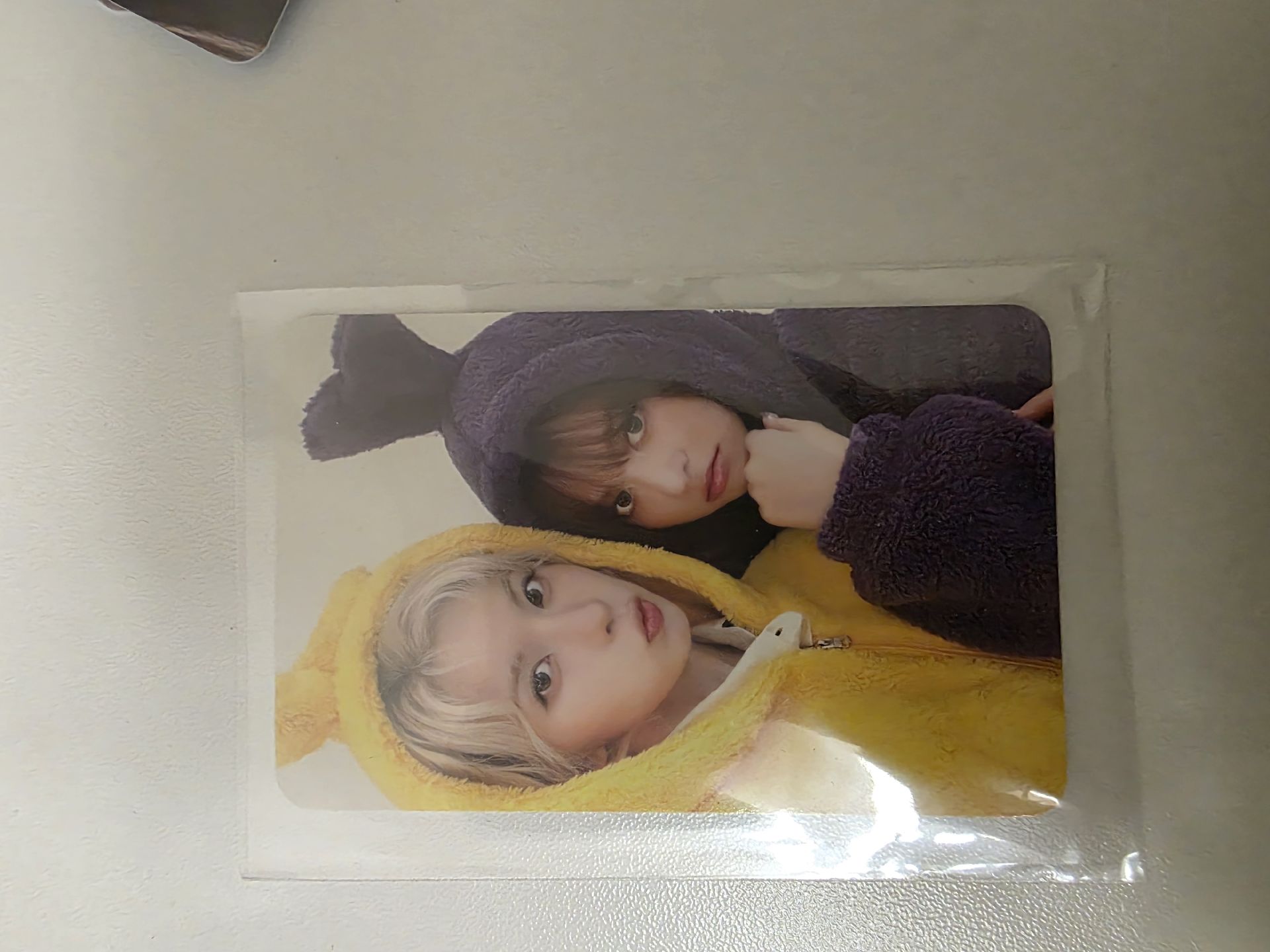 sw 天線寶寶 裴莉