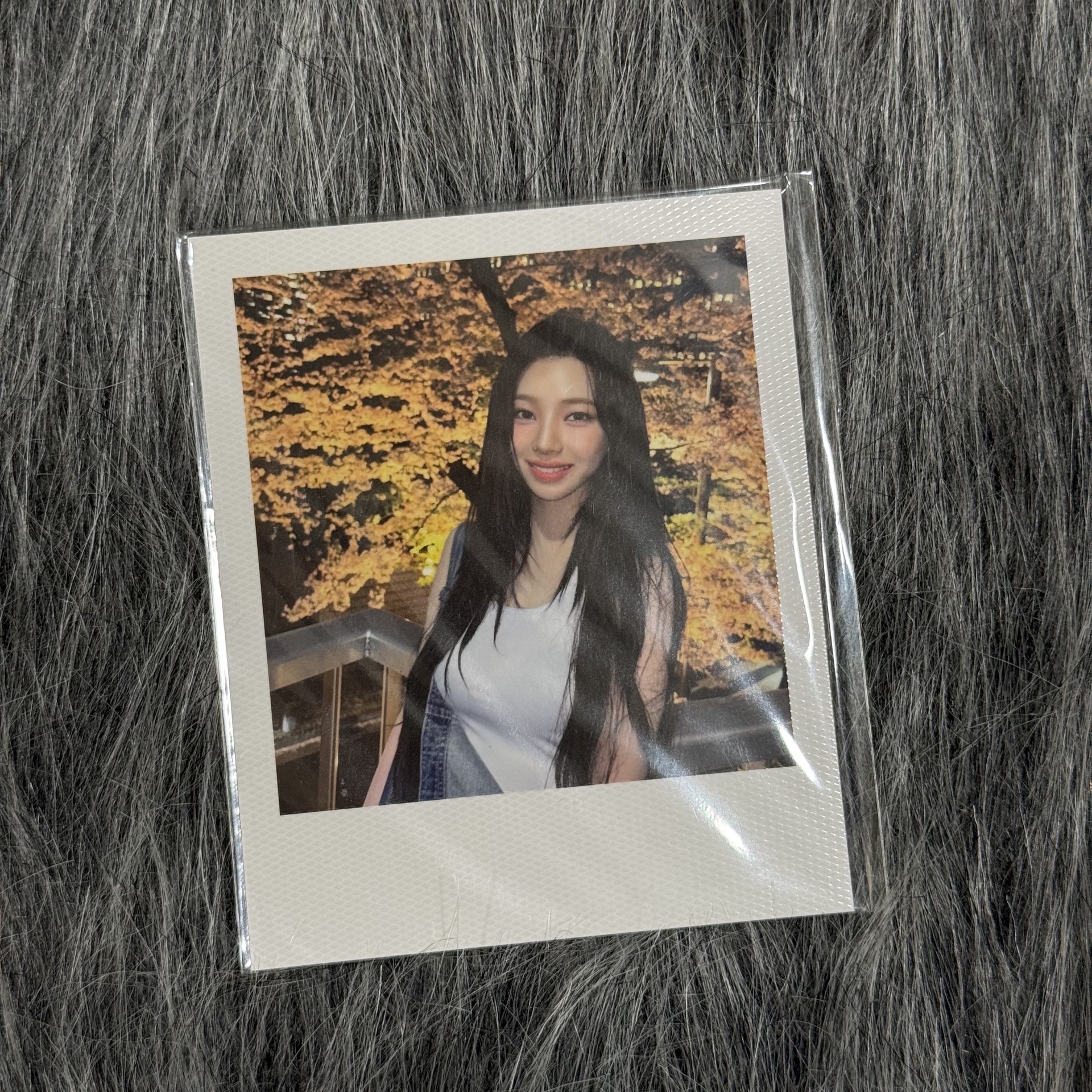 快閃滿額拍立得