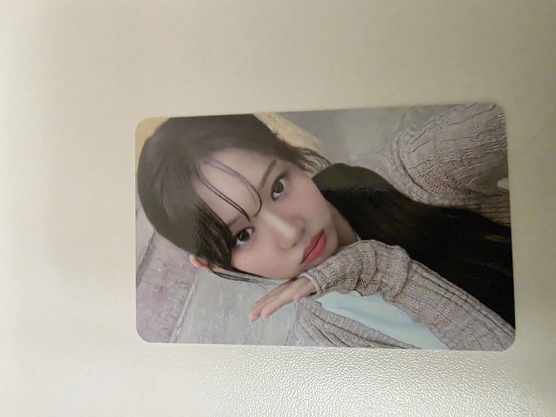 寶怪 拼圖卡 茶