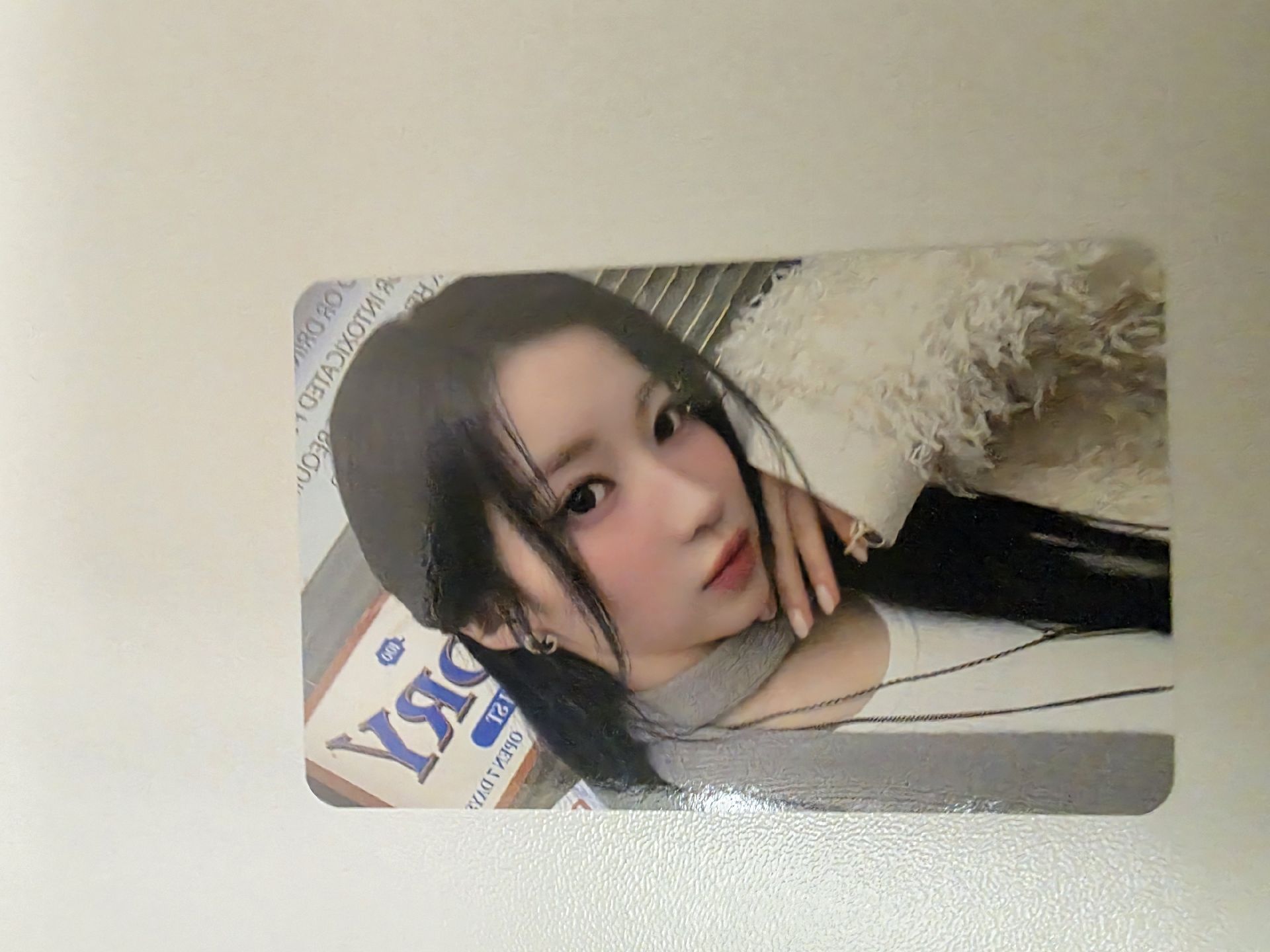 寶怪 拼圖卡 ASA