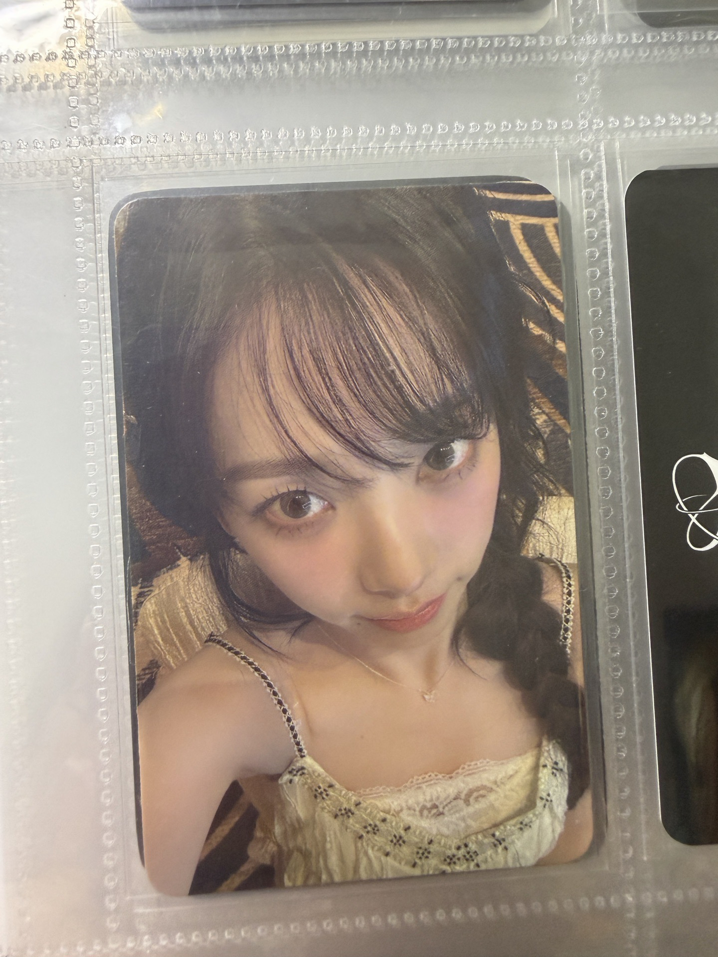 正規一澳門簽售柚