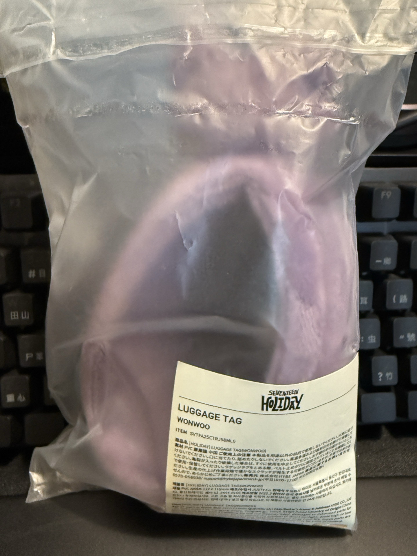 MINITEEN 手燈套 ｜FOXDUNGEE