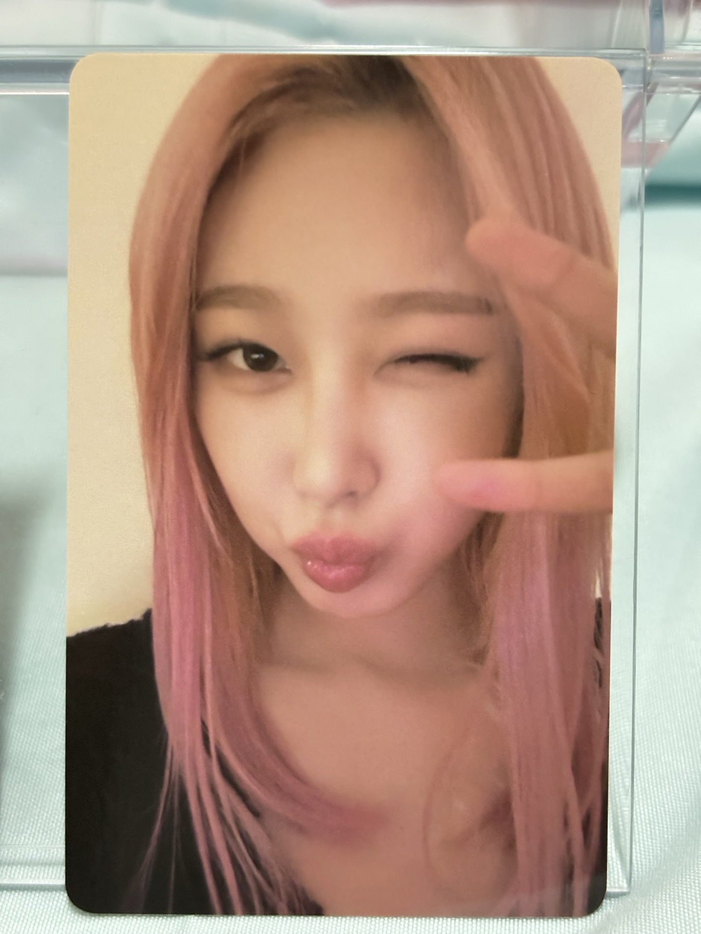 全球240張 Whiplash kms 抽選卡 上海中簽吉