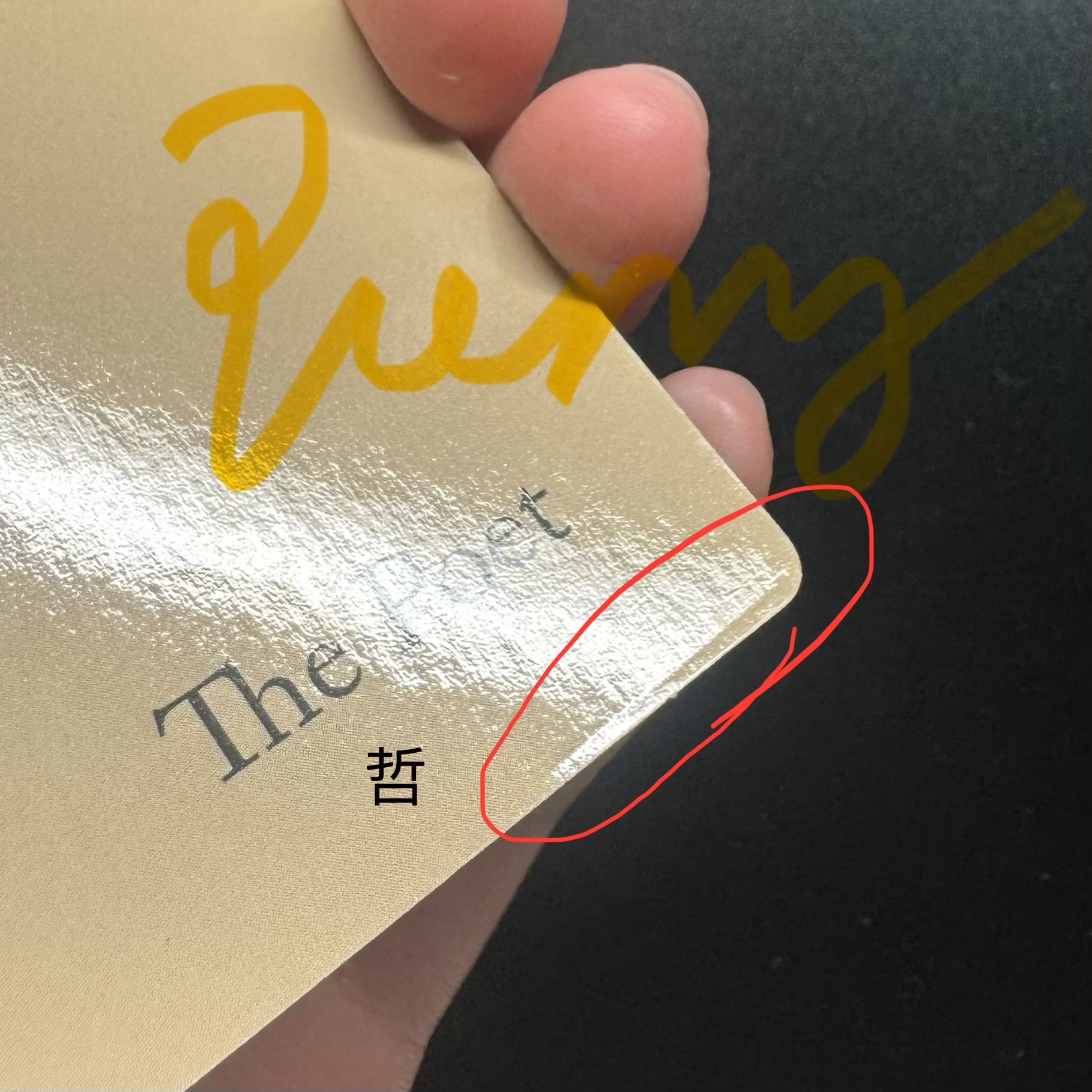 ⭐️正3米版 碩寫真/小卡-哲奎碩