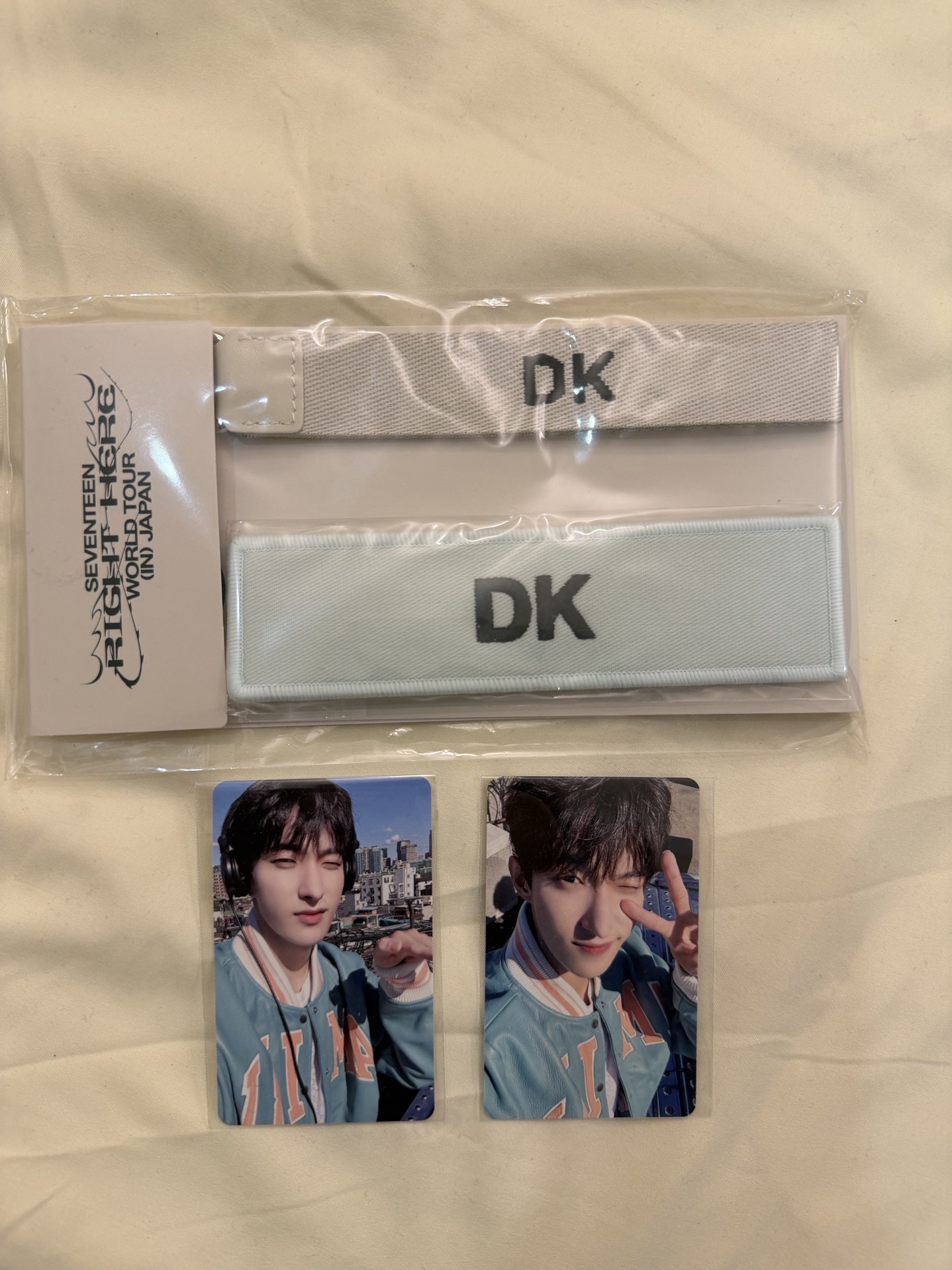 SVT RH 碩布章小盤