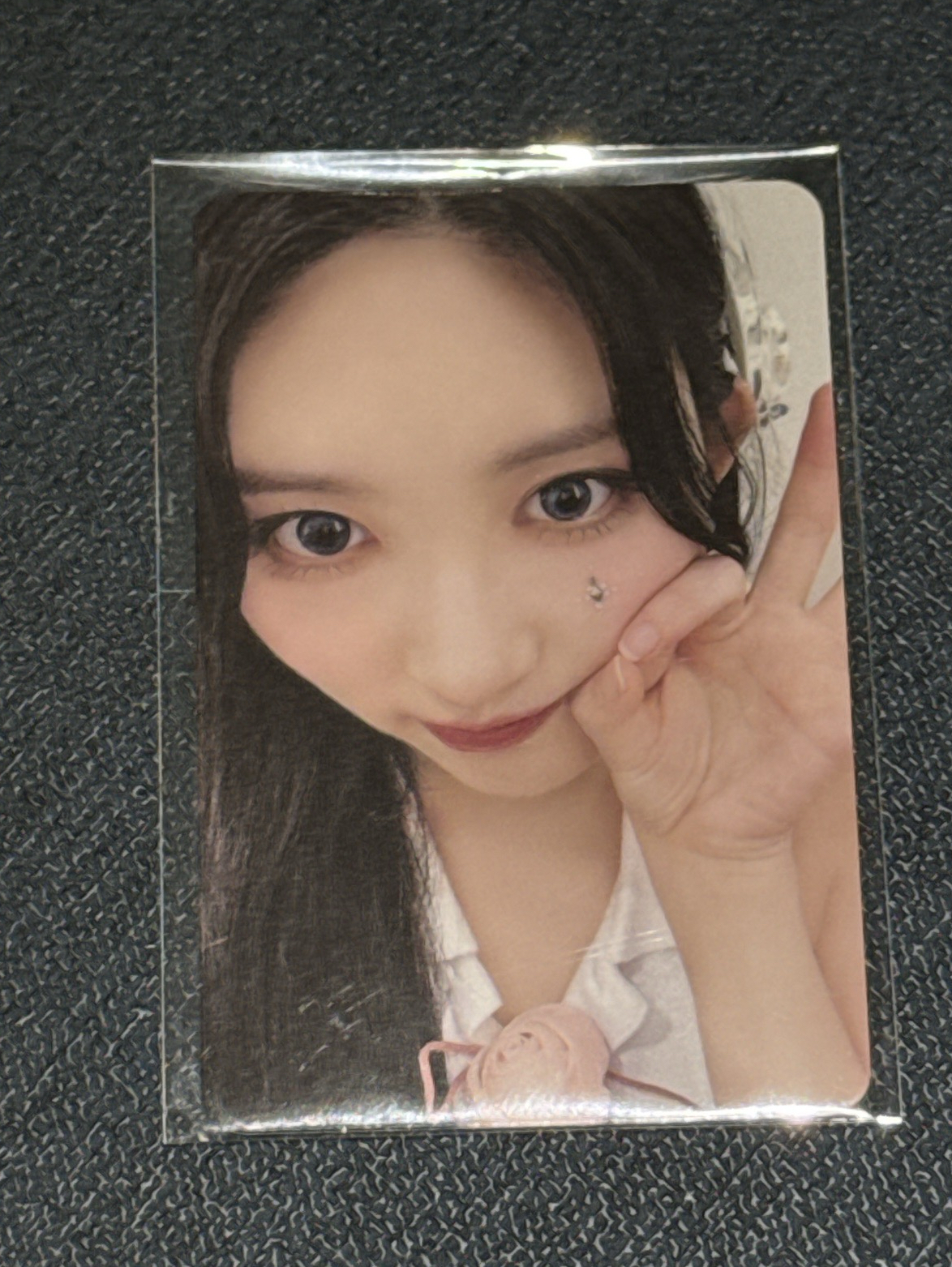 世巡安可 船特秋