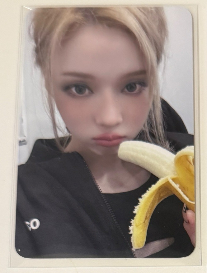 Whiplash El 預售冬