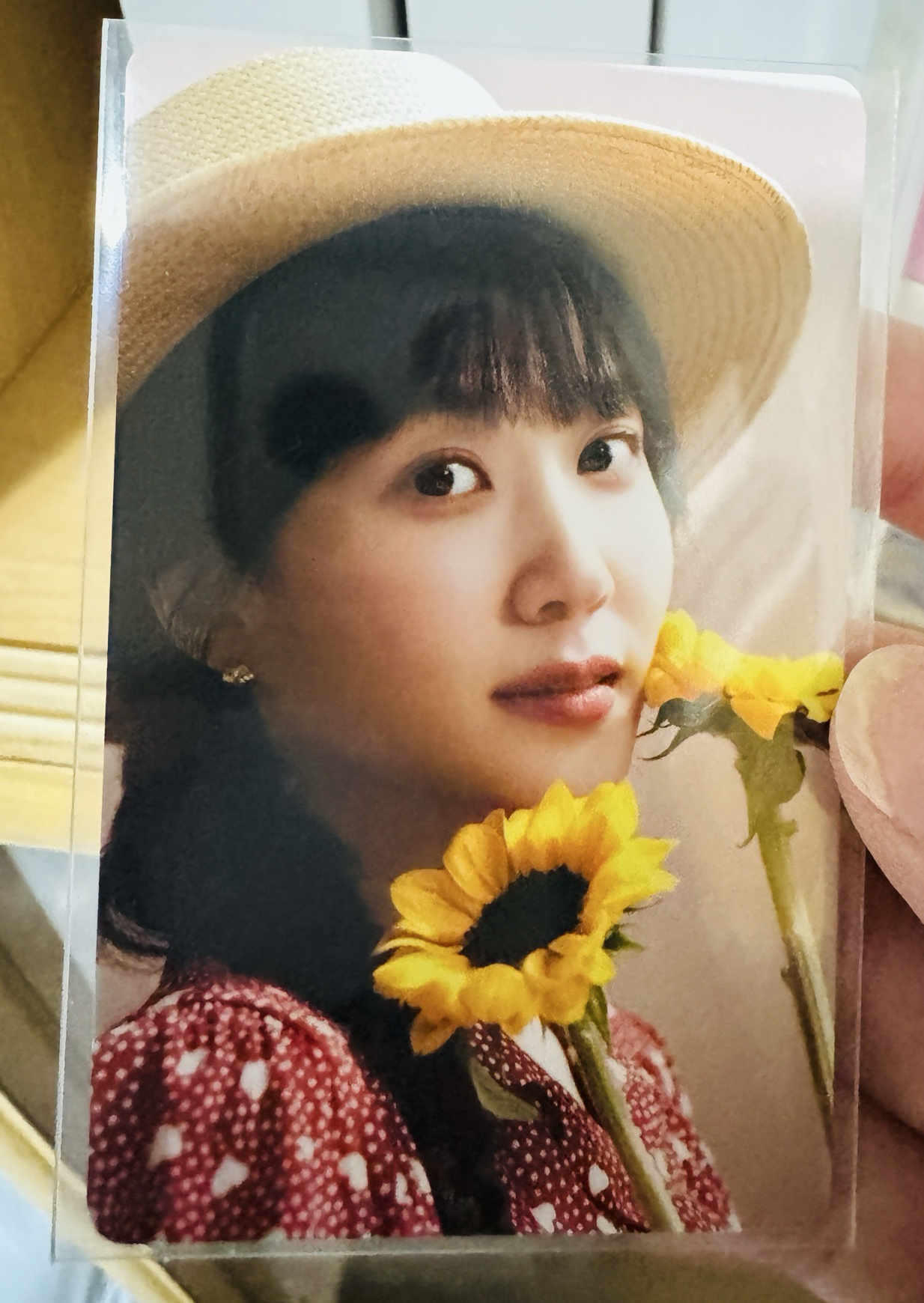 202409日本場限定小卡（太陽花款）