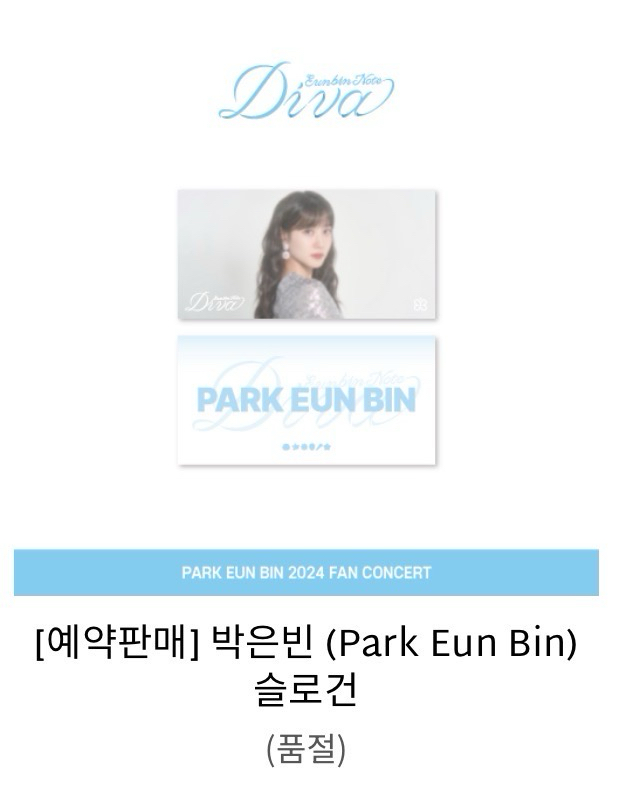 2024韓國演唱會周邊-布手幅