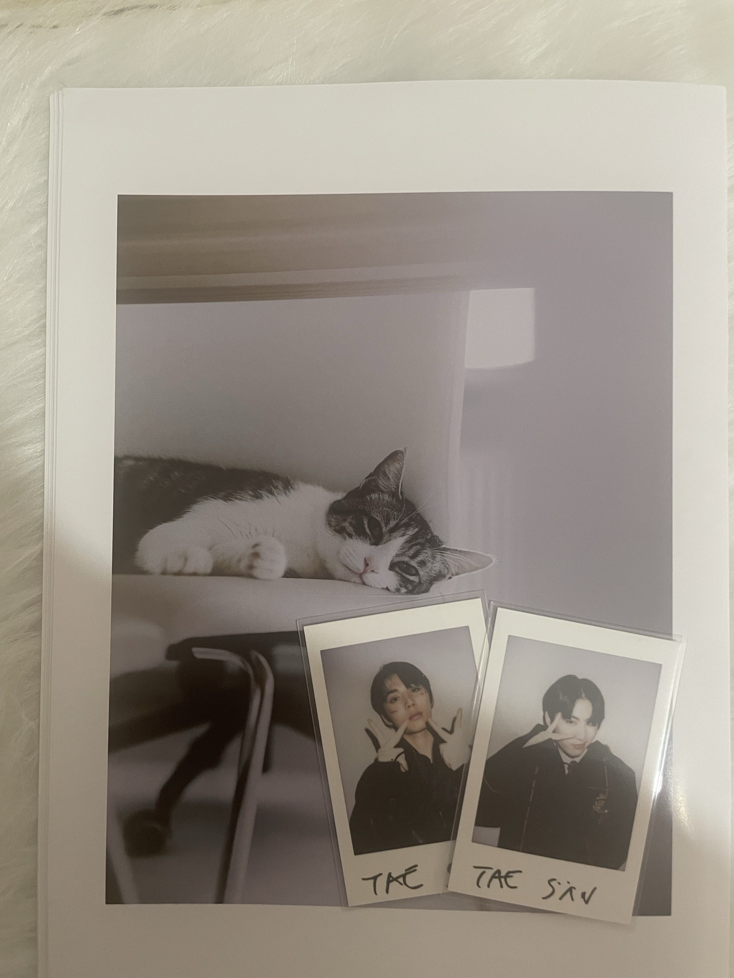 【BND】🐈‍⬛漫潮雜誌小卡